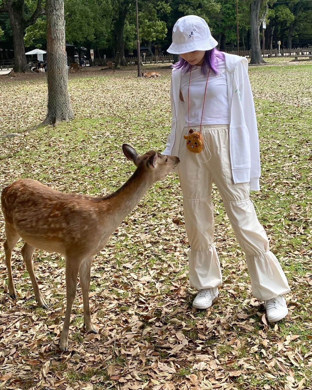 PORINのインスタグラム：「🦌ＳＨＩＫＡ🦌」