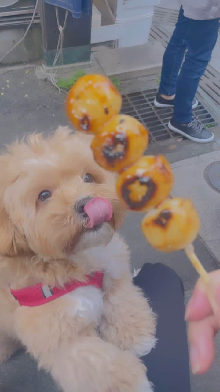 夏目花実のインスタグラム