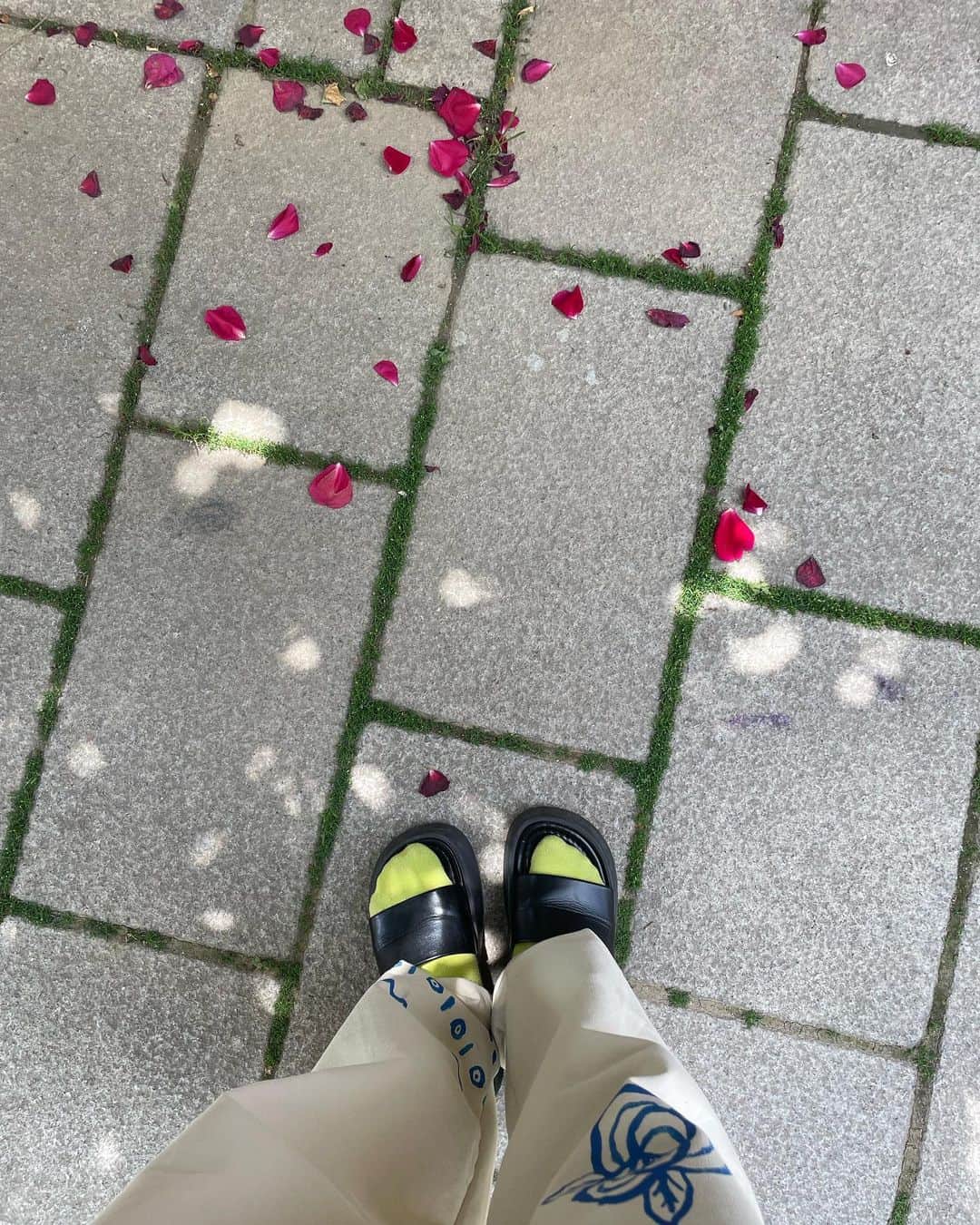 芋生悠のインスタグラム：「in Seoul.🐾」