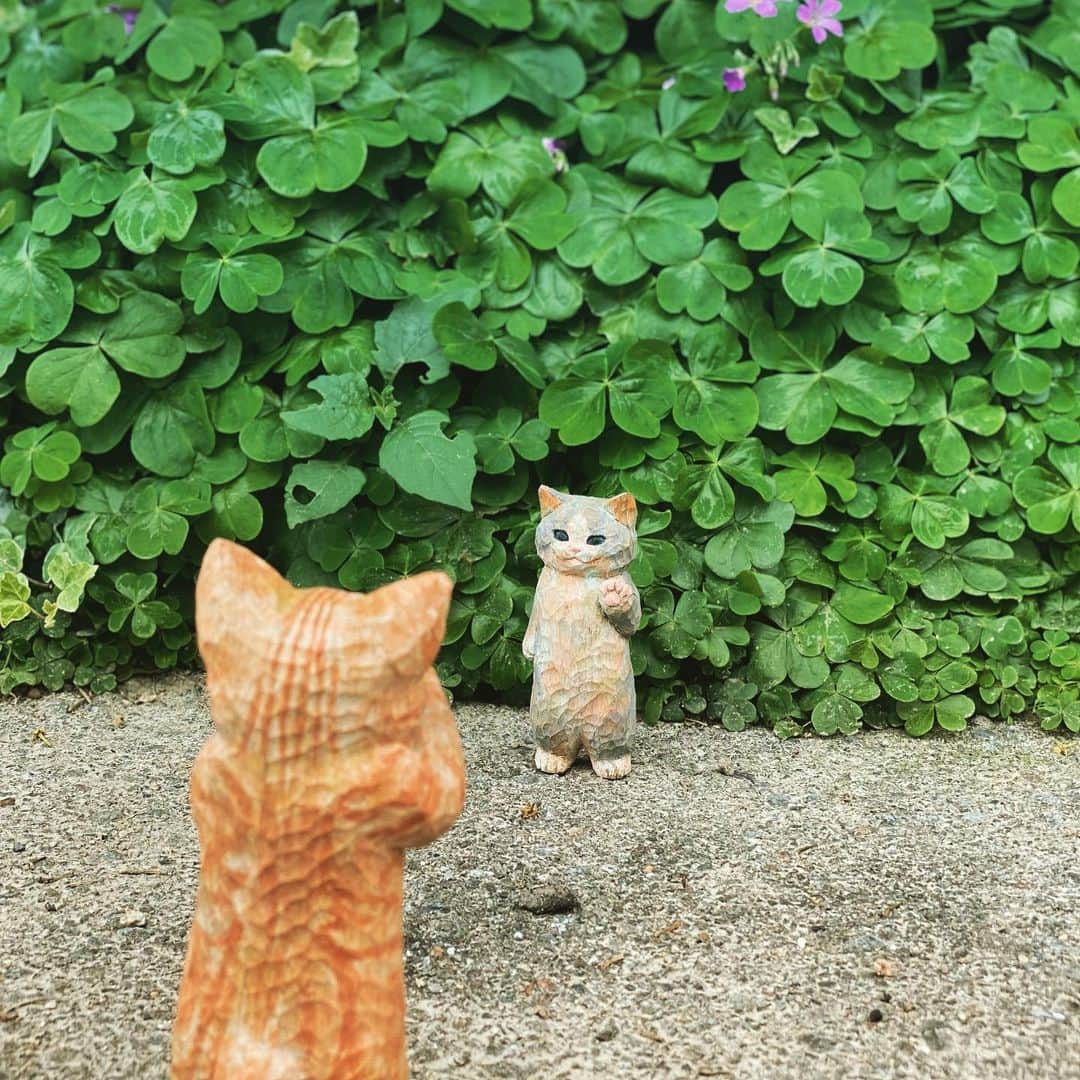 花房さくらさんのインスタグラム写真 - (花房さくらInstagram)「ｶｼｬｶｼｬｯ  ｶｼｬｯ 「いいねいいね ！その表情！！」  どこで撮るかより、どう撮るか、かもね。  #猫は時として旅をする #cat #sculpture #hanafusasakura」5月25日 21時08分 - sakura_hanafusa