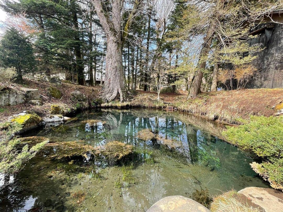 松山英礼奈さんのインスタグラム写真 - (松山英礼奈Instagram)「世界遺産忍野八海💙🩵  透き通る水に心癒された🥹🤲🏻🤍🩵🪽  #時差投稿 #世界遺産 #忍野八海 #山梨県 #富士山 #観光スポット」5月25日 21時29分 - hiiiiiiii0802