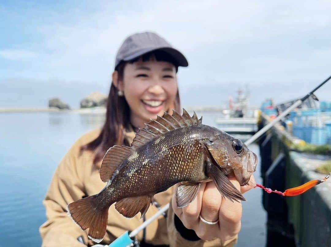 石川文菜のインスタグラム：「北海道で釣りたかったエゾメバル🎣  ゲストとして扱われやすい魚種と言われていましたが、デイでメバルが釣れるなんて最高じゃない😍  巻きエサジグを使うとバイトシーンが見られて、より面白い。 7gを使って遠投できるように、ロッドはGOOD ROD GD-S62Lにしました。 良いサイズも釣れたので、大満足🤍(滞在期間の都合で持ち帰りが出来ず…いつか食べたいな♪)  次回、北海道の陸っぱりで釣りたい魚はニシンとホッケ💡 どちらも鮮度が高いうちにいただく刺身は最高とのこと。(1ヶ月早く伺っていたら…悔しいっ！)  昨年ニシンの刺身を味わってから、より釣りたい欲が上がりました👍🏻  #jackall #begoodfunegg #GOODシリーズ #釣り #釣りスタグラム #海釣り #釣り好き #魚釣り #釣果 #釣果グラム  #北海道 #エゾメバル」