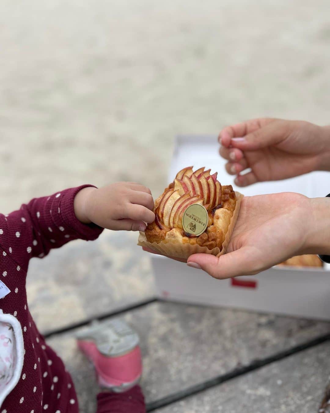 長嶺菜菜子のインスタグラム：「【好きなものを好きな場所で】 ⁡ 1歳2ヶ月のあおいは すでにスイーツに目がない ⁡ そんなあおちゃんを連れて デパートリウボウの催事 「おいしいパンとコーヒー」へ🥐☕️ ⁡ そこで エーデルワイスのアップルパイを購入🍎 @edelweiss.okinawa  ⁡ 店内でイートインしたかったけど、 動き回るあおちゃん😂 ゆっくりしていられないから リウボウから1番近いビーチへ直行🚗 ⁡ お外が好きなあおいは ビーチに来れて嬉しそうで ⁡ 更にアップルパイを見せると すぐに食べたい食べたい！して テンションがあがって すぐに手が伸びてた😂 ⁡ これが甘くて美味しいものって よくわかるよね😂👏 ⁡ ⁡ このアップルパイ りんごの王冠のようで 見た目がめちゃくちゃゴージャス👑🍎 ⁡ ごろっとリンゴが入っていて 満足感が半端ない😋 ⁡ あおいは、何でも持ちたがる時期だから 砂にワシャーってしないかヒヤヒヤした😂 ⁡ 家でゆっくり食べるのも良いけど、 海を見ながらのスイーツも 最高だった🤍 ⁡ ⁡ ⁡ 「おいしいパンとコーヒー」の催事は デパートリウボウで5/29まで やってるよ🥐🤤☕️ ⁡ 色んなお店が集結しているから 好きなものに出会えるかも🤍 ⁡ ＿＿＿＿＿＿＿＿ #好きなもの #スイーツ好き #1歳2ヶ月 #甘いもの好き #育児記録 #育児日記 #エーデルワイスアンバサダー #沖縄スイーツ」