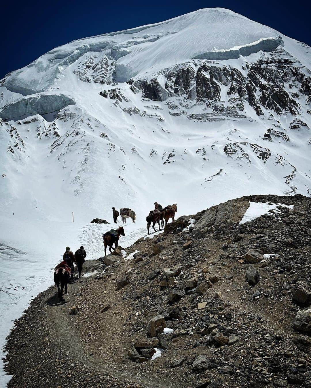 ミア・マエストロさんのインスタグラム写真 - (ミア・マエストロInstagram)「Nepal, you have my 🤍 It was hard to leave Kathmandu behind this morning after some unparalleled weeks in the Himalayas. Hard to put into words how much it meant to me arriving by horse to some of the most sacred places in the Buddhist Vajrayana tradition. Following the steps of Guru Rimpoche, who brought Buddhism to Tibet in the 8th century we rode our horses for 5 hours a day and hiked for about 3 with almost no hot water and seldom electricity. The land opens itslef in a different way when arriving by these soulful four legged creatures. We rode for 5 days to Lo Manthang the capital of Upper Mustang. This kingdom was just opened to the world in the 1990’s and it is a beacon of the Tibetan life and customs that have been so relentlessly contested and suppressed in other parts of the world. Grateful for everyone that hosted us and I got to share morning Tea with, to @ridingsafariclub & @ginevrarossini for putting together an epic group of humans who has become instant family and to the Spirits of this land for keeping us safe.」5月25日 23時09分 - miamaestro