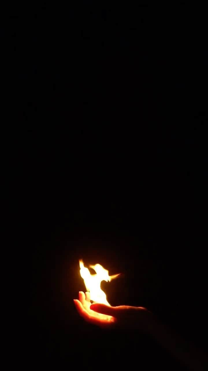 小林エリカのインスタグラム：「わたしの手の中のプロメテウスの火　 In My Hand— The Fire of Prometheus　 2019  Video: Akiko Nishimura, Yoichi Takanashi  Courtesy of Yutaka Kikutake Gallery and Erika Kobayashi  Short story collection “Sunrise -Radiant Stories-“ Erika Kobayashi Translated by Brian Bergstrom @asa_no_burei  Published by Astra House @astrahousebooks Thanks @lisetteverhagen  Cover photo is In My Hand— The Fire of Prometheus, 2019 Photo by Kasane Nogawa (c) Erika Kobayashi and Yutaka Kikutake Gallery  Thanks to Naoki Yoneda 「話しているのは誰 現代美術に潜む文学」展　国立新美術館  Exhibition:Image Narratives: Literature in Japanese Contemporary Art  at the National Art Center Tokyo @thenationalartcentertokyo 2019」