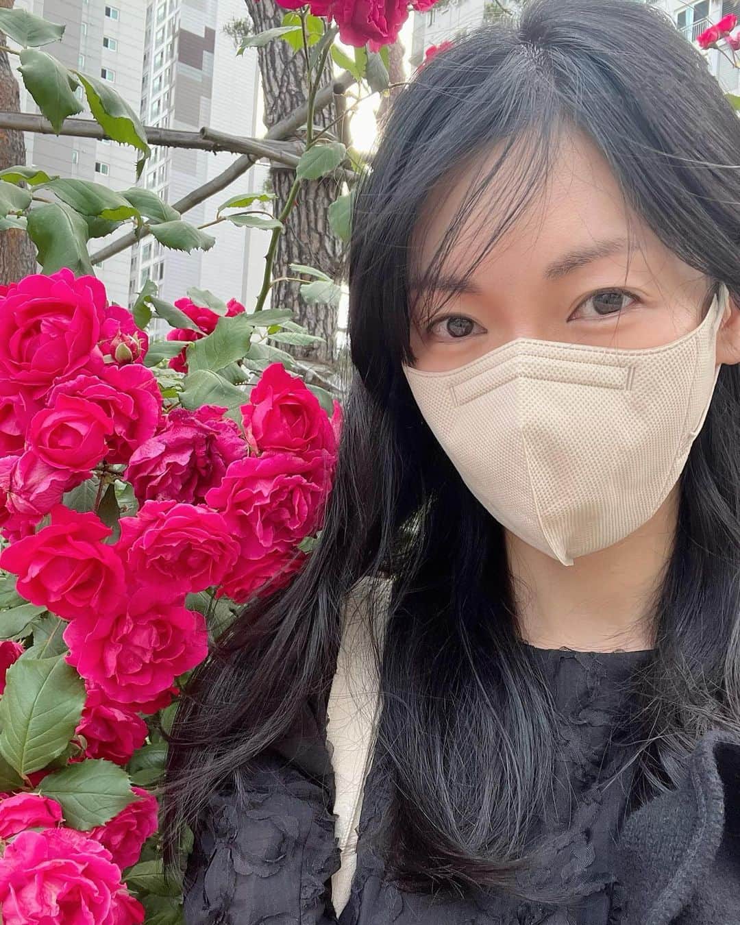 キム・ソヨンのインスタグラム：「🌹♥️」