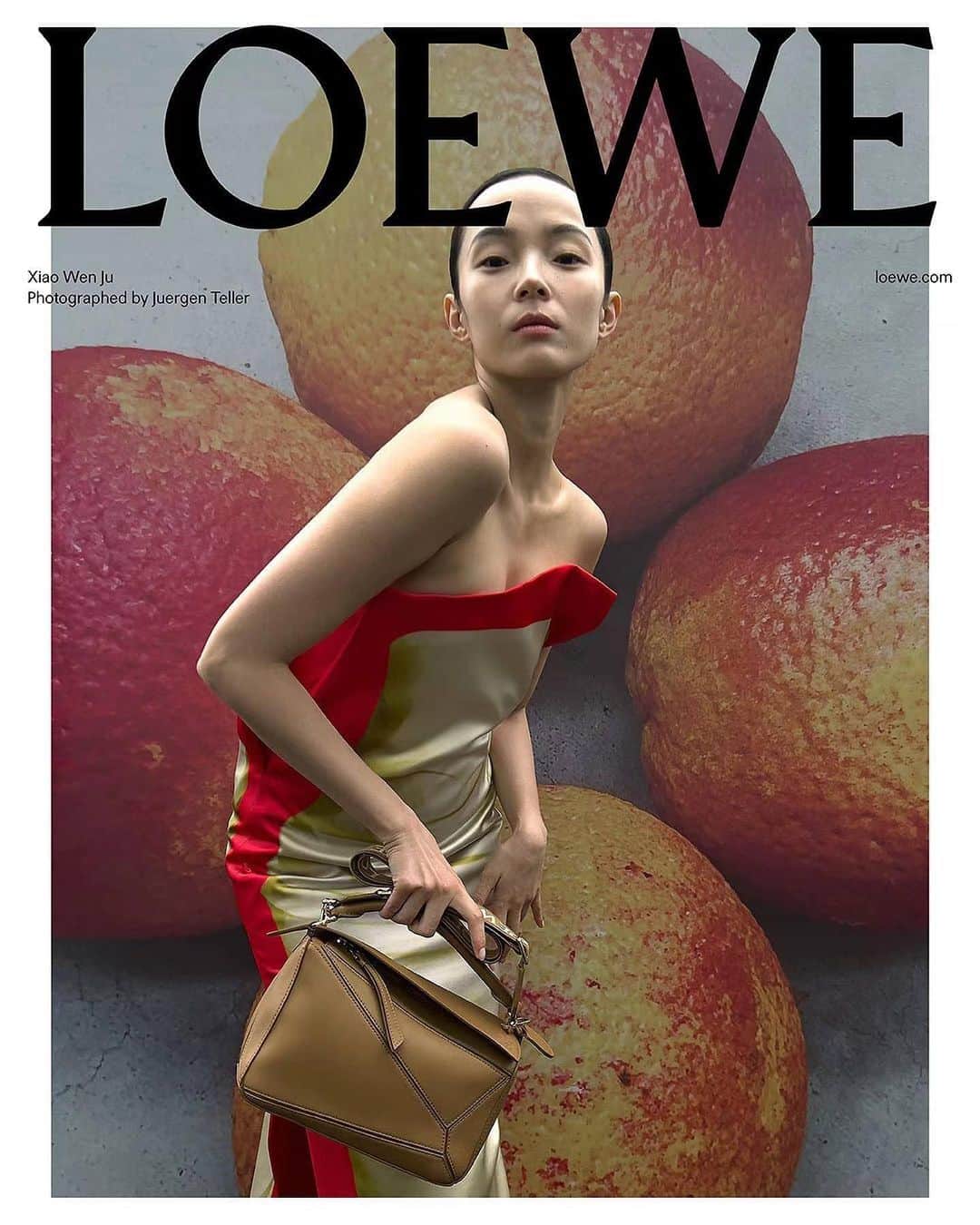 ジュ・シャオエンのインスタグラム：「❤️@loewe ‘s #LoeweFW23 campaign  Photographed by @juergentellerstudio  👗 by @benjaminbruno_  Hair by @issac_yu  Makeup by @clivexiong  Thank you @jonathan.anderson for having me 🍊🍊🍊」