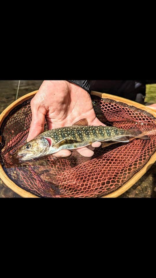 外山将平のインスタグラム：「大自然の中でのランガン ピン打ちキャスト  釣りって最高🎣  【TACKLEDATA】 ROD：DAIWA 23PURELIST 53UL・W REEL：DAIWA 21CALDIA FC LT2000S-H LINE：Super FireLine 0.5号(Berkley) LEADER：プレミアムマックス ショックリーダー2号 9.5lb(クレハ) 　　　　　　　　　　　　　　　　　　　　　　　 　　　　　　　　　　　　　　　　　　　　　　　　　 #BlueBlue #アングラーズマイスター　　　　　　　　　　　　　　　　　　　　　　　　　　　　　　　 #TOKYO　　　　　　　　　　　　　　　　　　 #渓流 #渓流ルアーフィッシング #トラウトフィッシング #THENORTHFACE　　　　　　　　　　　　　　　　　　　　　　　　　 #SMITH #DCONTACT #DAIWA 　　　　 　　　　　　　　　　　　　　　　　　　 　　　　　　　　　　　　　　　　　　　　　　　　　 　　　　　　　　　　　　　　　　　　　　　  ◆釣りにかかわらず､出たゴミは持ち帰りましょう！ 一人一人の意識で自然は守れます。 釣り場､自然を大切に🐟　　　　　　　　　　　　　　　　  ◆キャスト時は必ず後方確認をして ルアーや針が歩行者､同行者に当たらないようにしましょう。　　　　 　　　　　　　　　　　　　　　　　　　　　　　　　　　　　　 ◆釣り際はライフジャケット着用をお願い致します。　　　　　　　 命を守りましょう！　　　　　　　　　　　　 　　　　　　　　　　　　　　　　　　　　　 ◆YouTube⇩(始めました！チャンネル登録お願いします😊) https://youtube.com/channel/UC07x3DbJCNv_gAFvAjaWQMQ　　　　　　　 　　　　　　　　　　　　　　　　　　　　　  ◆アングラーズ↓🎣 将平(syohei) https://anglers.jp/users/530231 こちらもチェックお願い致します🐟　　　　　　　  ◆Twitter↓ https://mobile.twitter.com/syohei_1108 こちらもフォロー宜しくお願い致します！🙇‍♂　　　　　 　　　　　　　　　　　　　　　　　　　　　　　　　　　　　　　　　　　　　　　　　　　　　　　 　　　　　 　　　　　　　　　　　　　　　　　　　　 　　　　　　　　　　　　　　　　　　　　　　　　　　　　 #今日の外山 #俳優 #外山将平  #釣り好きな人と繋がりたい #自然 #釣りスタグラム #シーバス #東京湾奥 #釣りの成長記録 #釣りで人生を豊かに  #fishing #lurefishing #lure #catchandrelease #fish #fishinglife #bigfish #angling #instafish」