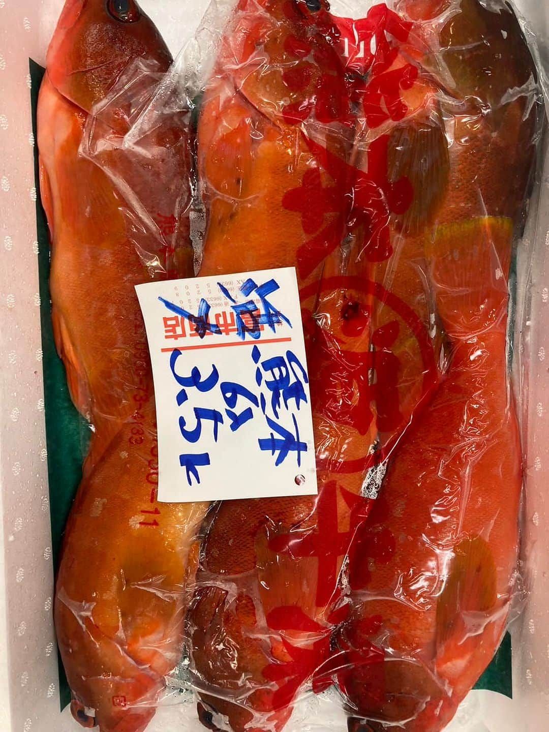 森田釣竿さんのインスタグラム写真 - (森田釣竿Instagram)「🇯🇵浦安泉銀🇯🇵 本日の魚食え！コノヤロー！！！」5月26日 6時19分 - tsurizaomorita3710