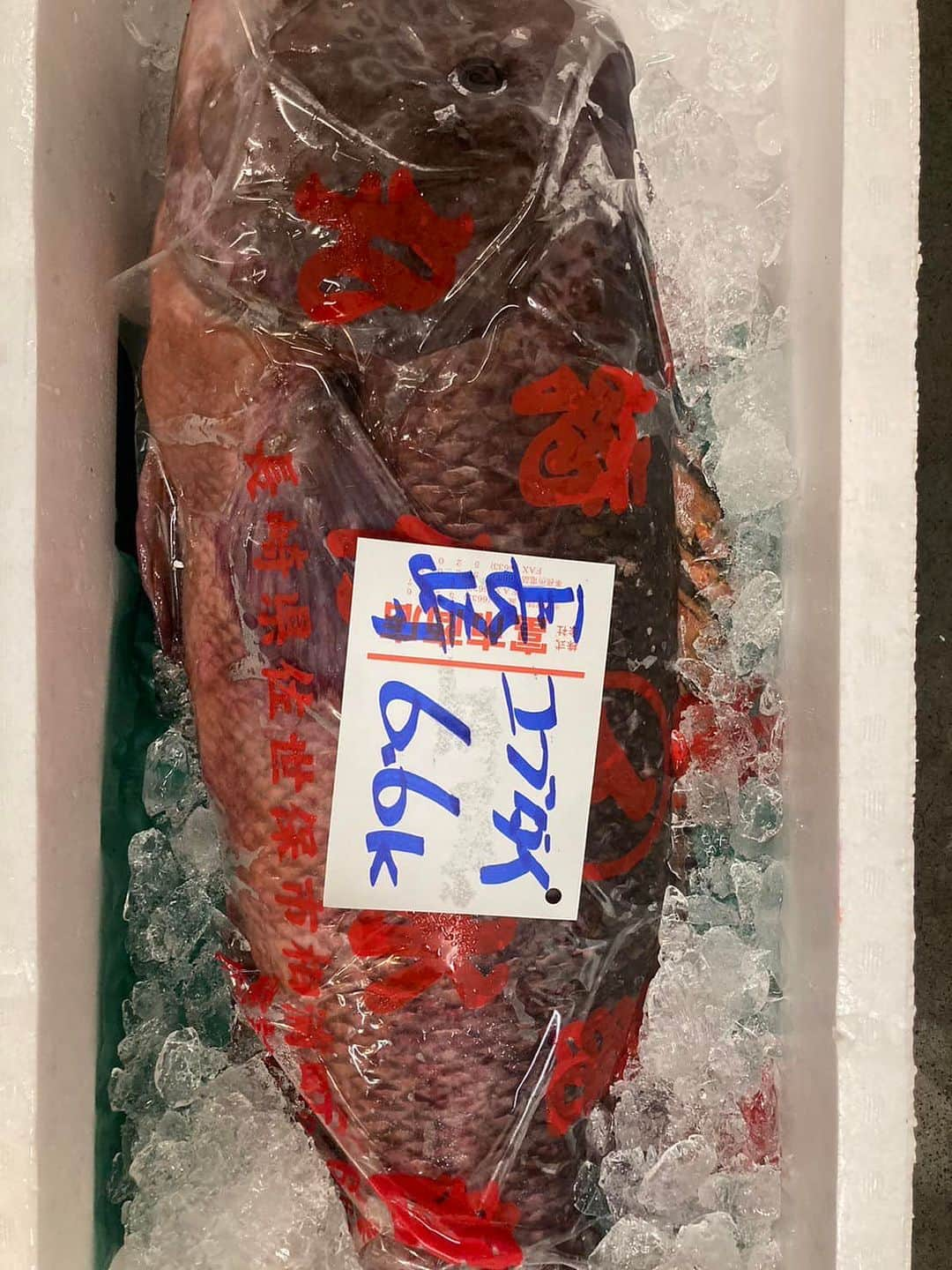 森田釣竿さんのインスタグラム写真 - (森田釣竿Instagram)「🇯🇵浦安泉銀🇯🇵 本日の魚食え！コノヤロー！！！」5月26日 6時19分 - tsurizaomorita3710