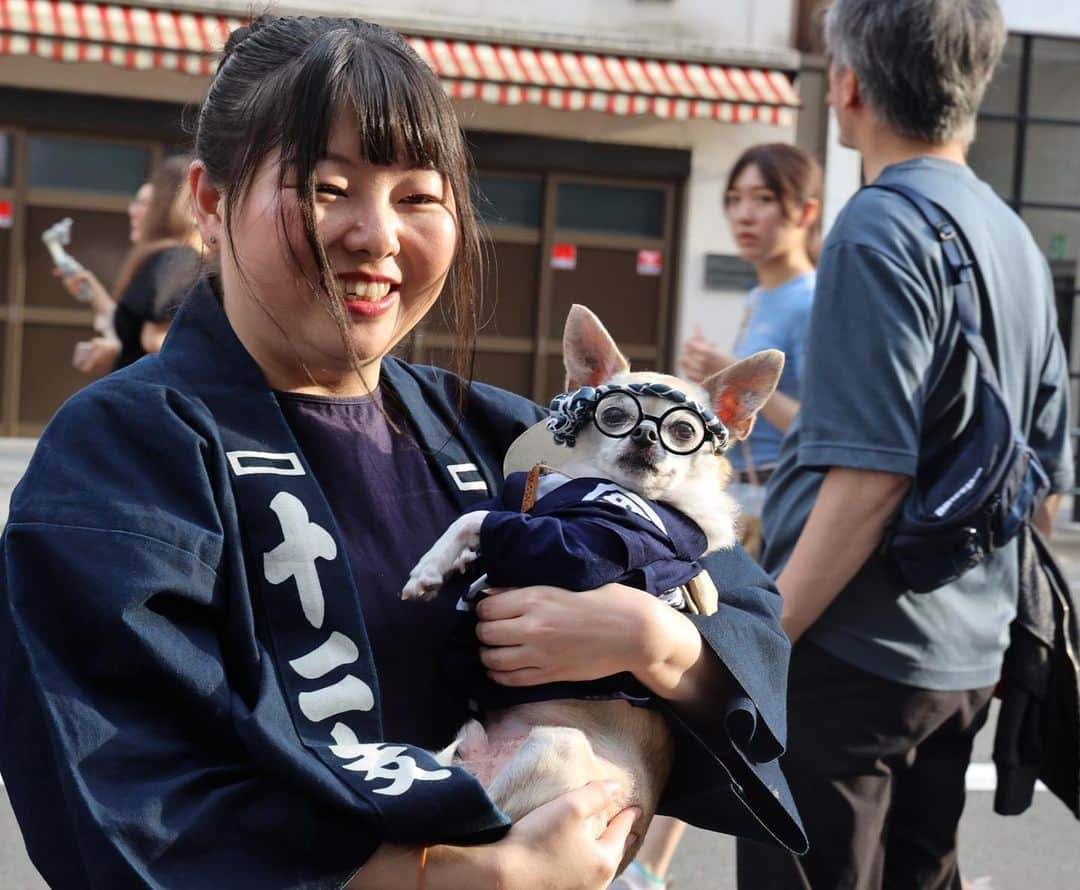 紋次郎さんのインスタグラム写真 - (紋次郎Instagram)「はかまなじょし 着物女子もいるけど😊 ご本人はどう思ってるかわからないけど、めちゃくちゃ笑ってる表情ってすごく気持ちいいし、素敵だと思う！  #dog#dogstagram#instadog#chihuahua#barkbox#mydogiscutest#buzzfeed#dog_features#fluffypack#barkpack#dogsofinstagram#犬#チワワ#手作り#handmade#着物#fashion#紋次郎一家#チーム茶#ふわもこ部#igersjp#peco犬部#dogfashion #whisky#三社祭」5月26日 19時16分 - montjiro