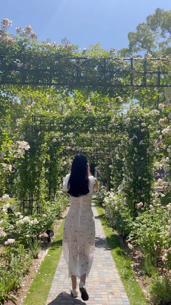 れみぱんのインスタグラム：「ハウステンボスの旅①💐 初めて行ったんだけど海外みたいですごく楽しかったー🌹 ゆったり出来て良い休日でした🌹 : 今週もお疲れ様でした😌」
