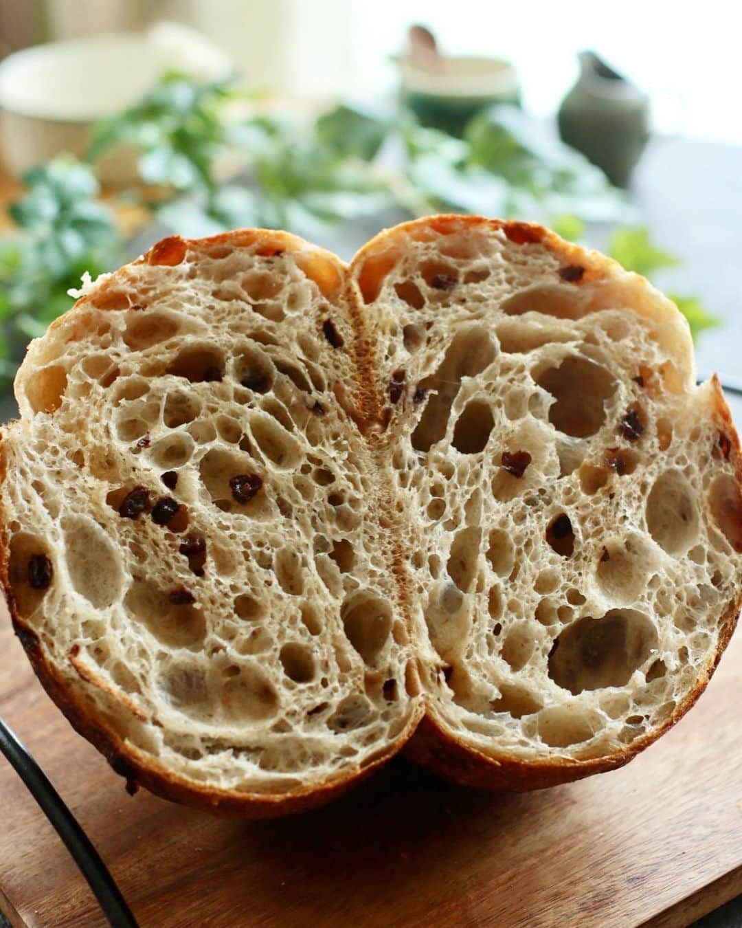 maiのインスタグラム：「2023年5月26日    sourdough bread 🎶ラムカレンズ入りの 　　　サワードウカンパ🎶  パウダースノーという 春よ恋とゆめちからの ブレンド粉をベースに 全粒粉、ライ麦粉で いつものパン作り。  が、焼き上がりは めちゃ腰高！！ パンッパンのラグビーボール🏉  こんなに膨らんでるのに ちゃんとクープが開かなかったのは なんなんでしょうね💦  先日、オーブンが入院して 退院したばかりなのですが😰  まぁ、クラム、味ともに 好きな感じなので ゆっくりリハビリしましょうかね。  #サワードウ　 #sourdough  #サワードウブレッド #サワードウカンパ #お菓子教室 #ミルガトー」