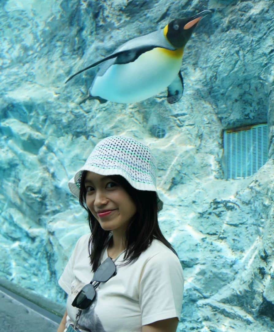 miwaさんのインスタグラム写真 - (miwaInstagram)「旭山動物園に初めて行きました😆💗 空飛ぶペンギンを見れた～🐧✨ 岩飛びペンギンを初めて見て、動きが可愛かった😂 ホッキョクグマをシールズアイというカプセルから見るのを楽しみにしてたんだけど、めちゃ暑かった😂泳いでるところが最高に可愛かった😍❤️ オオカミすごかった🥹✨ マヌルネコのふてぶてしさ😂 キリンのファンサに感動🦒✨  #旭山動物園 #空飛ぶペンギン #写真10枚まで #とりあえず #第一弾」5月26日 18時24分 - miwa_official_38
