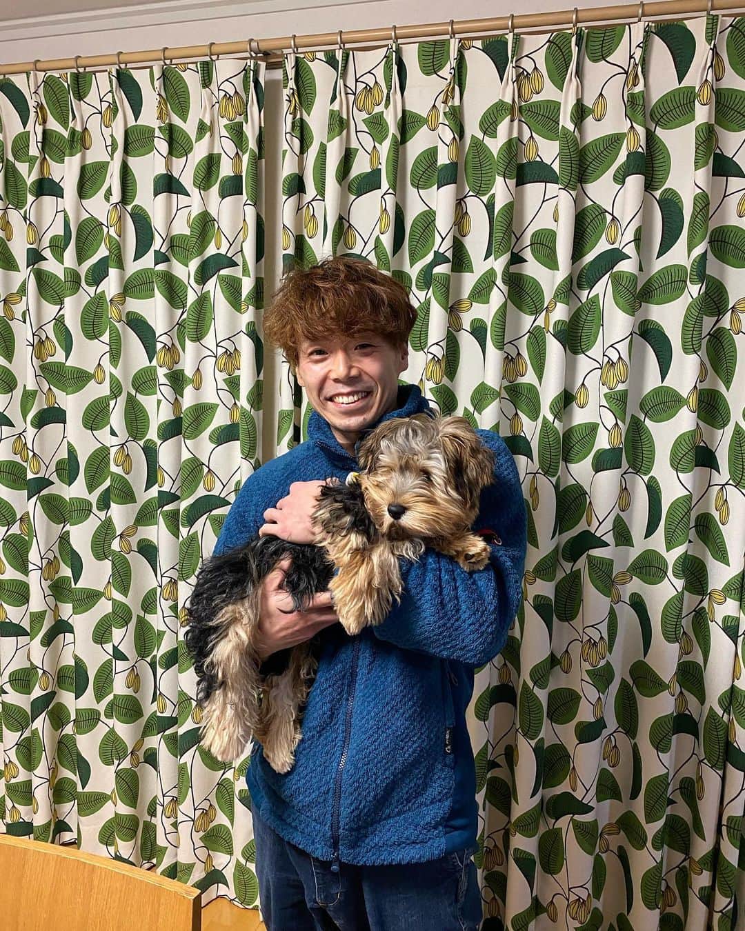 伊東秀和さんのインスタグラム写真 - (伊東秀和Instagram)「. 年明けに撮った写真から💫モシャモシャの時が懐かしい🥰 最近はサマーカットでスッキリ！ 今日で福が我が家に来てから半年が経った。毎日ありがとう。あと少しで生後9ヶ月✨ #家族  #ヨークシャーテリア  #男の子  #生後9ヶ月  #6kg  #元気に成長中  #毎日ありがとう」5月26日 18時42分 - hide9a2019