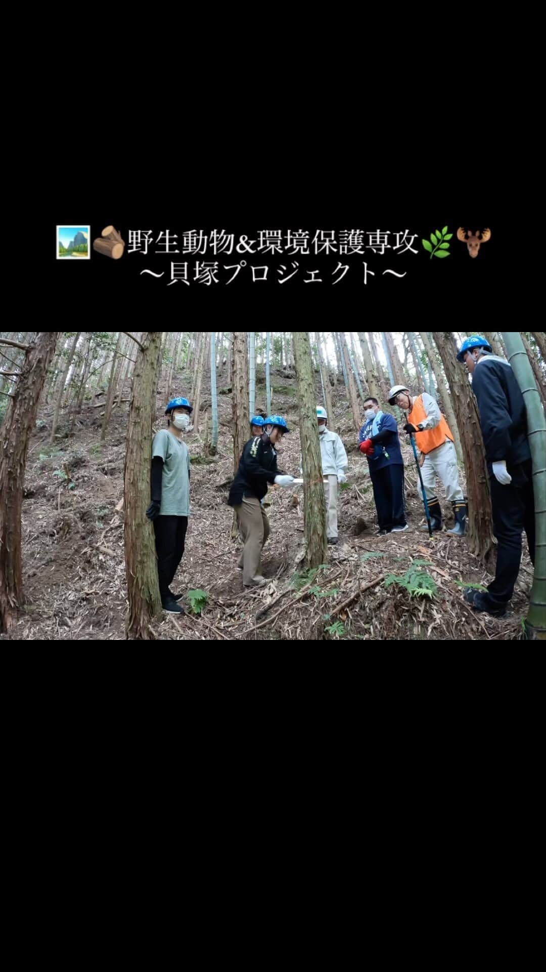 大阪ECO動物海洋専門学校のインスタグラム：「.  🌿🏞️野生動物&環境保護専攻🦉🌳 〜貝塚プロジェクト〜  大阪府の貝塚市との合同プロジェクト、 「海と山のつながりを知る実習」へ行って来ました⛰️🗺️🌿  大阪湾でアオサを収穫し、 そのアオサを植樹したウバメガシの堆肥として使います🌳 ヒノキの伐採も体験させて頂きました〜🥹✨✨  伐採したヒノキはカピバラ家族にプレゼント！🎁🌼 子供のヒンにとっては初めてのヒノキでしたが、 むしゃむしゃガシガシしがんでいました🤭🍚🪵 動画の最後までご注目くださいね👀💕🤍  #貝塚プロジェクト #ヒノキ伐採 #大阪eco動物海洋専門学校 #大阪eco #動物専門学校 #動物園動物飼育専攻 #動物飼育 #動物園 #水族館 #飼育員 #ドルフィントレーナー #アクアリスト #動物看護師 #トリマー #ドッグトレーナー#動物好きと繋がりたい #犬好きと繋がりたい」