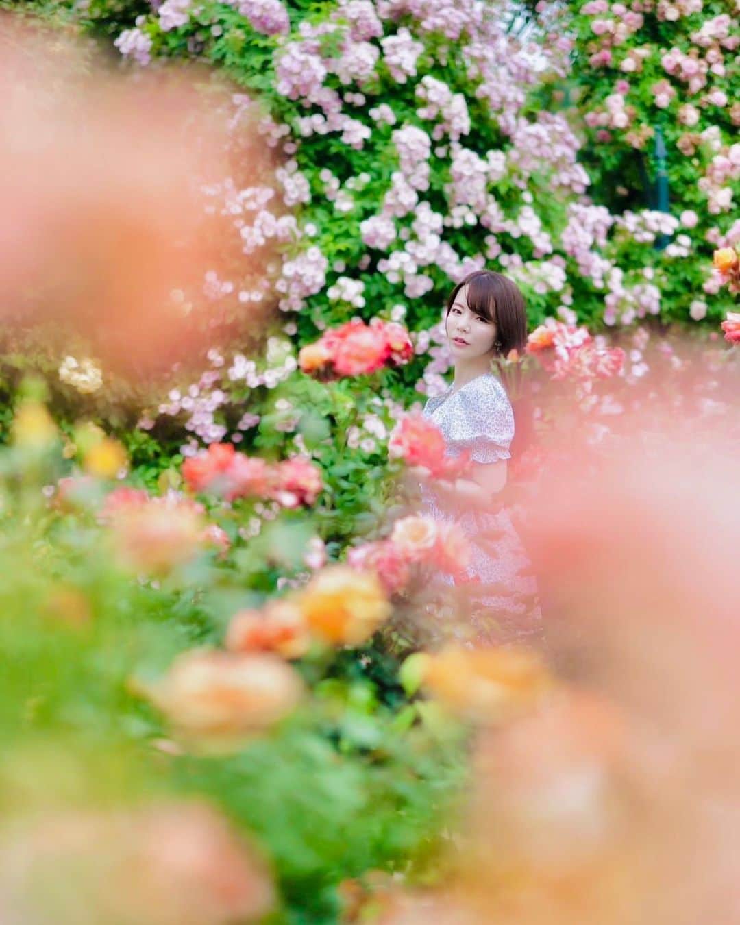 のインスタグラム：「♡lovely rose garden♡  ・ ・ ・ photo by @ppmacky 📸 model @mikarin_portrait  ・ ・ ・ ・ follow me💋  #美花展 #ローズガーデン #薔薇のある生活  #花が好きな人と繫がりたい  #薔薇園 #あしかがフラワーパーク  #誰かの記憶に残る写真 #カメラ好きな人と繋がりたい #ファインダー越しの私の世界 #ポトレファン倶楽部 #被写体モデル #その瞬間は永遠の思い出 #みんなのフォト #ポトレ女子 #撮影依頼募集中 #jp_portrait部 #japanesegirl #asianbeauty #jp_portrait_collection #loves_united_portrait  #global_ladies #photo_shorttrip #_lovely_weekend #portraitfestival #portraitinlove #portrait_mood #exclusive_world_portrait  #instagood #instagramjapan」