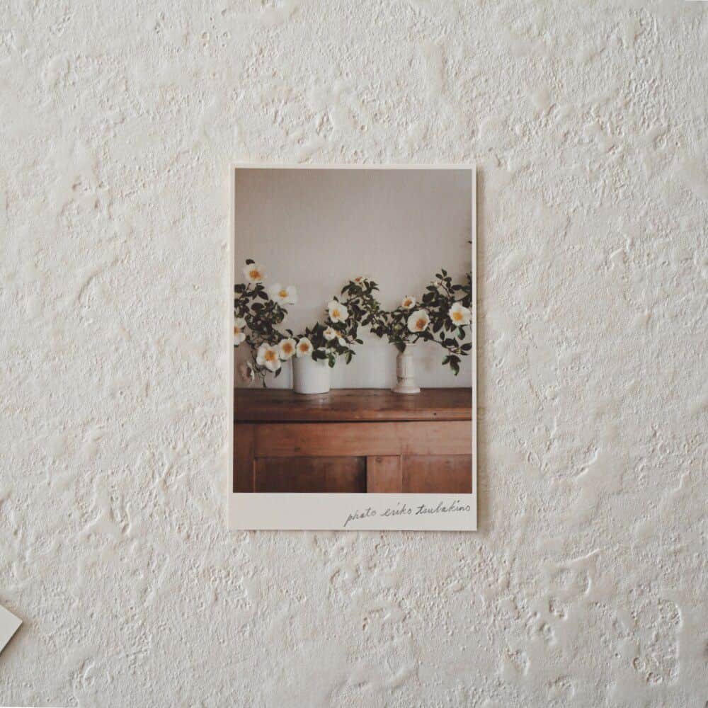 手紙社さんのインスタグラム写真 - (手紙社Instagram)「【「月刊手紙舎」植物の美しさ感じることができる季節のポストカード】 島根県に暮らし、庭で育てた植物や果物を自然の光を大切にフィルムカメラで撮り、それぞれの写真にまつわる文章を添えて、カレンダーやポストカードをつくっているフォトエッセイストの椿野恵里子さん（@tsubakino_eriko）。「季節の葉書」と名前がついたポストカードは、季節ごとの植物や果物が自然の美しいままに映し出され、見ているだけで植物の力強い美しさを感じることができます。季節の移り変わりをもっと感じながら、忙しさに流されず毎日を丁寧に過ごしていきたいと思わせてくれる作品は、お部屋のインテリアとしてもおすすめですよ。TAG STATIONERYとコラボした「草木花 ミニインクセット」も併せて楽しんでくださいね。  ▶︎詳しくは「@tegamisha」プロフィールのURLより、情報まとめページへ！  ▶︎画像左下のショッピングバッグアイコンをタップ！  ーーーーー  【「月刊手紙舎」2023年5月号 概要】  ◎つくり手特集「ネクタイ」 ◎大特集「切手＆ポストカード」  #椿野恵里子#写真#フィルムカメラ#ポストカード#インクセット#花#植物#紙博#紙雑貨#紙好き#文房具#文具好き#デザイン#photo#tegamisha#kamihaku#paper#stationery#paperlover#paperlovers」5月26日 19時00分 - tegamisha