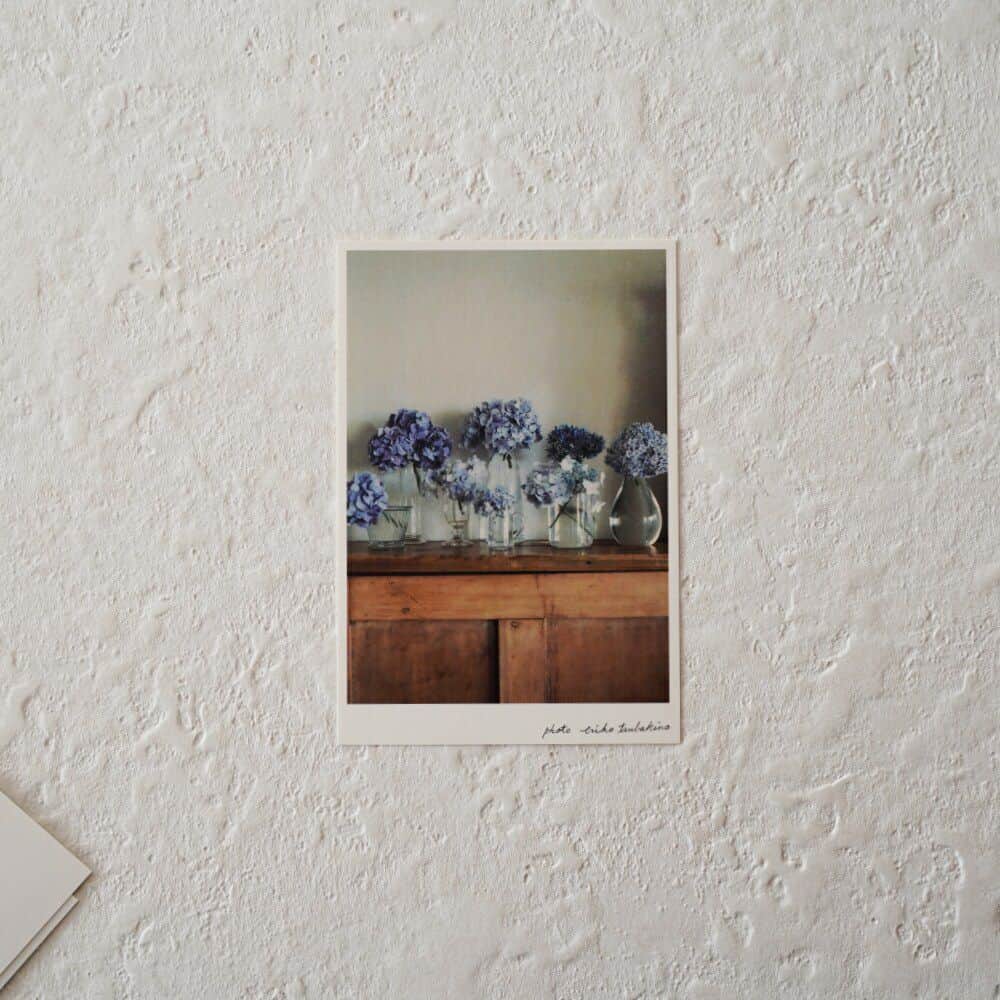 手紙社さんのインスタグラム写真 - (手紙社Instagram)「【「月刊手紙舎」植物の美しさ感じることができる季節のポストカード】 島根県に暮らし、庭で育てた植物や果物を自然の光を大切にフィルムカメラで撮り、それぞれの写真にまつわる文章を添えて、カレンダーやポストカードをつくっているフォトエッセイストの椿野恵里子さん（@tsubakino_eriko）。「季節の葉書」と名前がついたポストカードは、季節ごとの植物や果物が自然の美しいままに映し出され、見ているだけで植物の力強い美しさを感じることができます。季節の移り変わりをもっと感じながら、忙しさに流されず毎日を丁寧に過ごしていきたいと思わせてくれる作品は、お部屋のインテリアとしてもおすすめですよ。TAG STATIONERYとコラボした「草木花 ミニインクセット」も併せて楽しんでくださいね。  ▶︎詳しくは「@tegamisha」プロフィールのURLより、情報まとめページへ！  ▶︎画像左下のショッピングバッグアイコンをタップ！  ーーーーー  【「月刊手紙舎」2023年5月号 概要】  ◎つくり手特集「ネクタイ」 ◎大特集「切手＆ポストカード」  #椿野恵里子#写真#フィルムカメラ#ポストカード#インクセット#花#植物#紙博#紙雑貨#紙好き#文房具#文具好き#デザイン#photo#tegamisha#kamihaku#paper#stationery#paperlover#paperlovers」5月26日 19時00分 - tegamisha