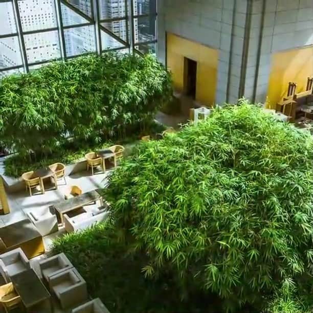 Park Hyatt Tokyo / パーク ハイアット東京のインスタグラム