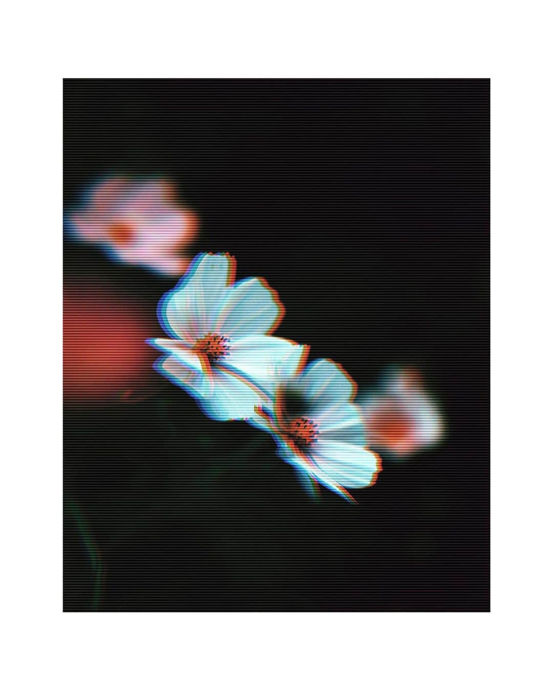 花楓のインスタグラム