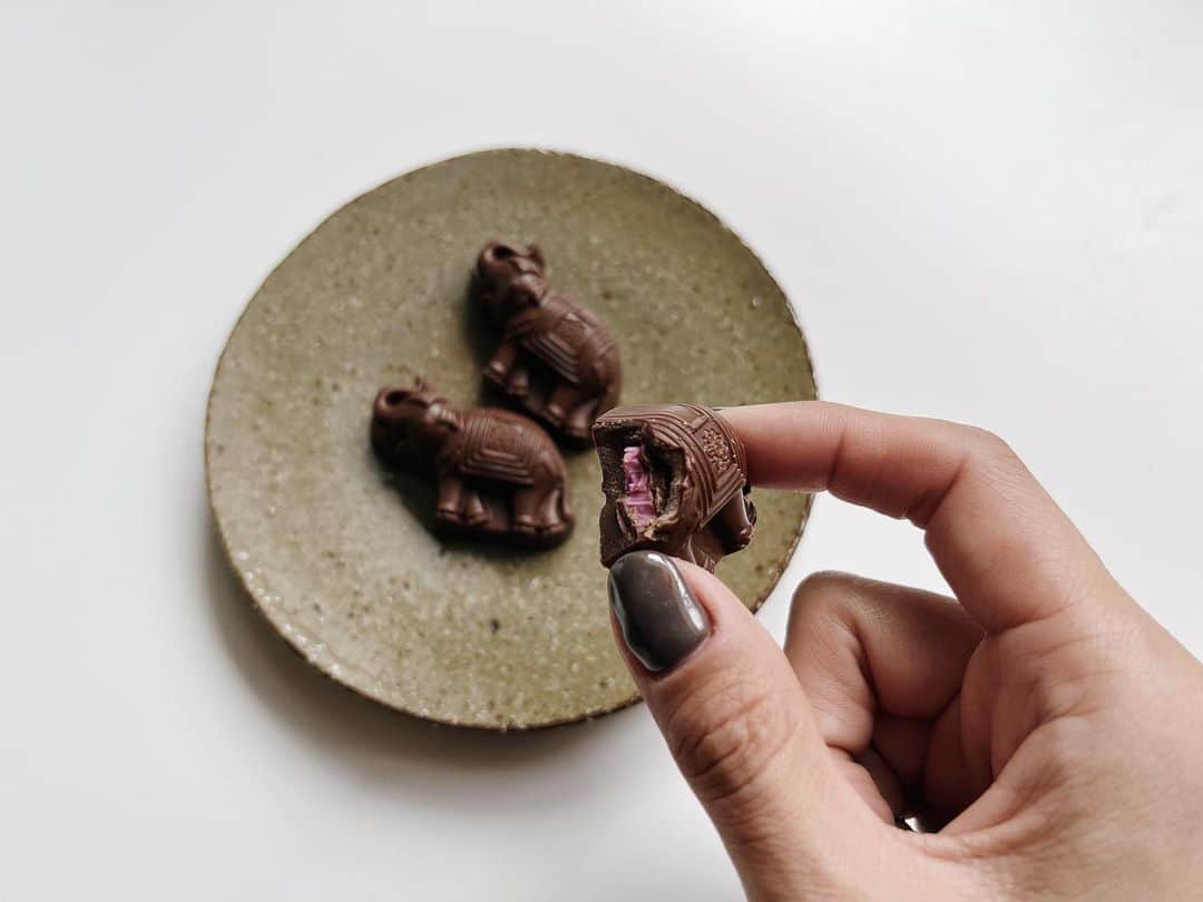 のインスタグラム：「バングラデシュ🇧🇩のお土産でもらったチョコ🐘  バングラデシュというか、トランジット先のタイで買ってきてくれたから、これはタイのチョコですね。  それにしても、マンゴスチンのプラリネは初めて。  あっという間に無くなってしまうわ！  #タイ #🇹🇭 #チョコレート」