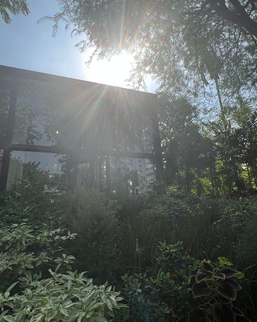 イプシー・キーラティのインスタグラム：「recharge 🌳🍃🤍」