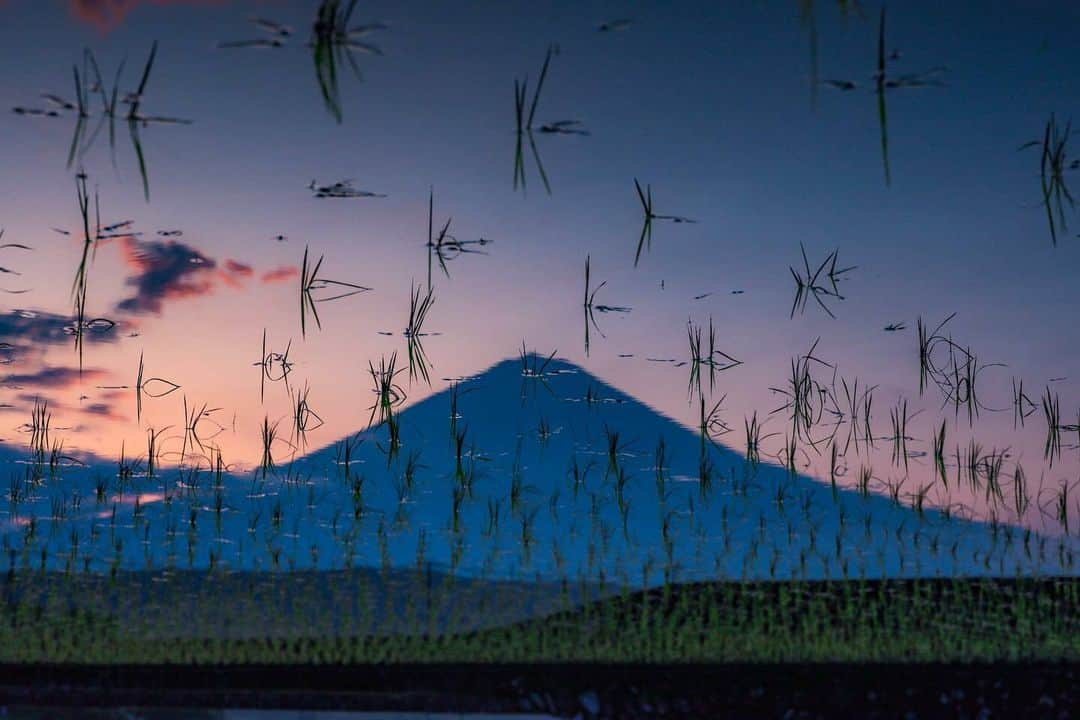 LIFE with CAMERAのインスタグラム：「富士山×田んぼ×夜明けの空 Photo by @223_3776 https://buff.ly/3qfgNEY . ＼ユーザーのみなさまの作品を紹介中／ . EOS M200・M100・M10に限らず、すべてのCanonのカメラで撮影された写真や動画に、指定のハッシュタグをつけて投稿いただいた作品をシェアさせていただきます！ . ▽指定ハッシュタグはこちら #LIFEwithCAMERA + #機材名 （例：#eosm200、#eosr10、#powershotg7xmk3など） . （※）紹介させていただく際は事前にご連絡はいたしませんのでご了承ください。 （※）投稿いただく写真に使用される著作物、肖像については、ご本人が著作権を有するもの、又は権利者から事前に使用承諾を得たものであるものとします。ご投稿いただく写真に関して万一問題が生じた場合は当事務局は責任を負いかねますことご了承ください。 . Canonのカメラの詳細は、本アカウントのプロフィール（ @canon_eosm ）にあるURLからご覧ください。 . #EOSRP #RP #LIFEwithCAMERA #LIFE_with_CAMERA #カメラのある生活 #Canon #キヤノン #EOS #powershot」