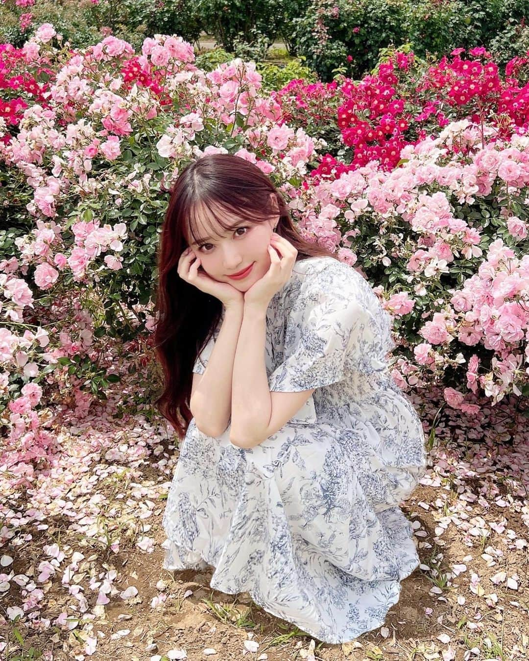 小越しほみさんのインスタグラム写真 - (小越しほみInstagram)「バラかわいい🥀🤍  ドイツ村のお花畑に合わせたワンピにしたよ🫶🏻  食べたグルメたちも載せとこ ソーセージ食べ損ねた🫥  . . . . . . . . .  ︎︎︎︎︎︎☑︎tops… @shein_japan 15124153 15-20% off coupon【Shihomi】  #shein #shein購入品 #ootd #夏服コーデ #夏服 #夏コーデ #ワンピース #東京ドイツ村 #ドイツ村 #千葉県観光 #千葉観光 #千葉観光スポット #千葉県観光スポット #お花畑 #バラ #ばら #薔薇 #ばら園 #バラ園 #薔薇園 #袖ヶ浦 #袖ヶ浦観光 #袖ヶ浦観光スポット #ドイツグルメ #花 #japantrip #japantravel #国内旅行 #国内観光 #国内旅行記」5月26日 11時25分 - shihomi1129