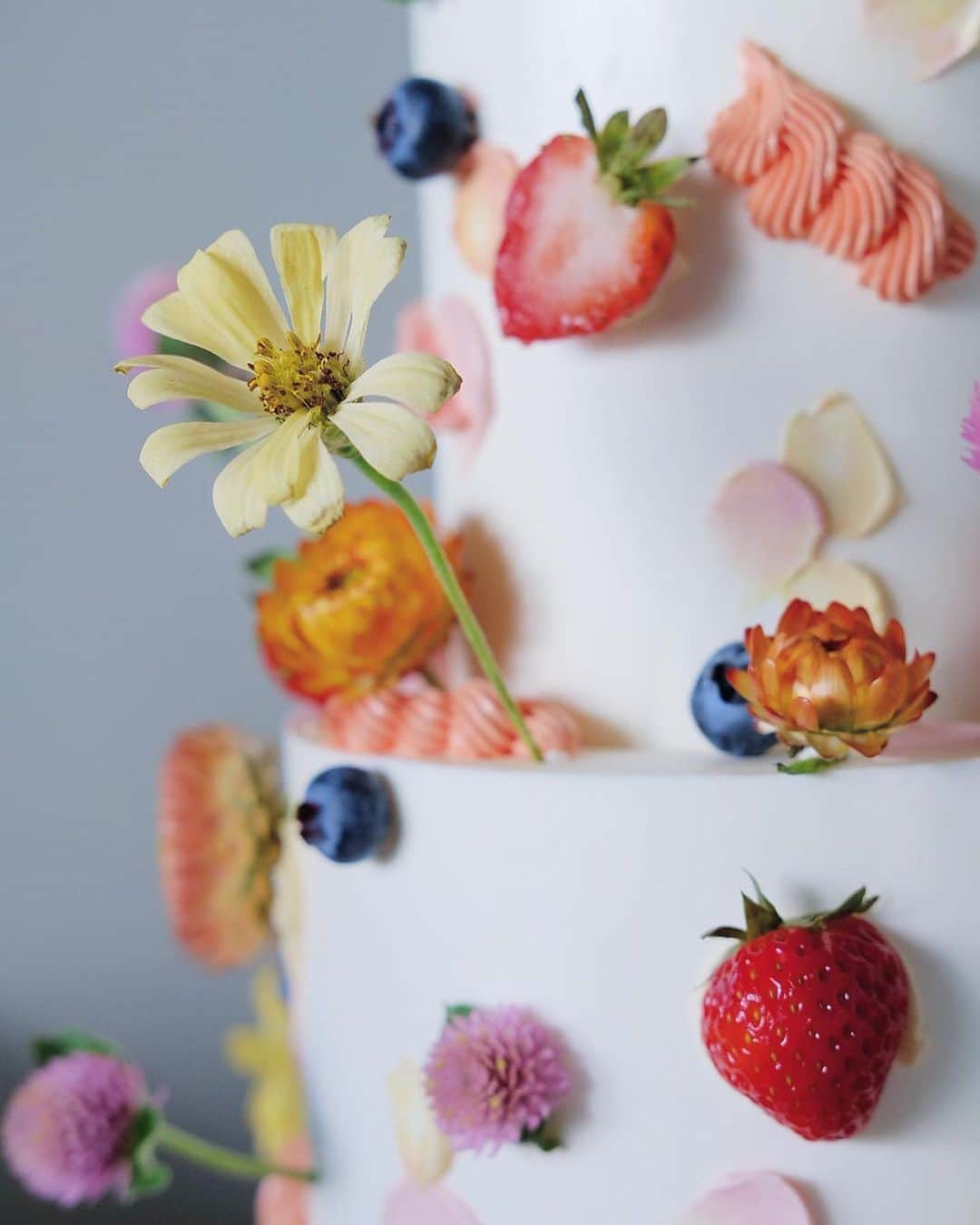 プレ花嫁の結婚式準備サイト marry【マリー】さんのインスタグラム写真 - (プレ花嫁の結婚式準備サイト marry【マリー】Instagram)「💗可愛いと思ったら、いいね💗 ⁡ ⁡ お花🌸もフルーツ🍓も可愛いウェディングケーキ🎂✨ ⁡ ロサンゼルスの韓国デザインケーキのお店 @tongtongcake さんのケーキです🍰 ⁡ ⁡ ケーキにお花...特にアンスリウムをさすなんて、少し前にはなかったことのように思いますが、とっても可愛いし、最近流行っていますよね💗 ⁡ ⁡ ⁡ ⁡ ⁡ * * * marryは世界中から見つけたときめくウェディング情報を発信するメディアです♡ ⁡ プロフィールURLのサイトから、 結婚式アイデアをたくさん見られます🪞 Instagramでは投稿していないテーマも たくさんあります𓊮𓍯 ⁡ ⁡ ⁡ #ウェディングケーキ#ケーキ装花#ウェディングケーキ装花#ウェディングケーキデザイン#ウェディングケーキアイディア#ケーキカット#プレ花嫁#結婚式アイデア#ウェディングアイデア」5月26日 11時40分 - marryxoxo_wd