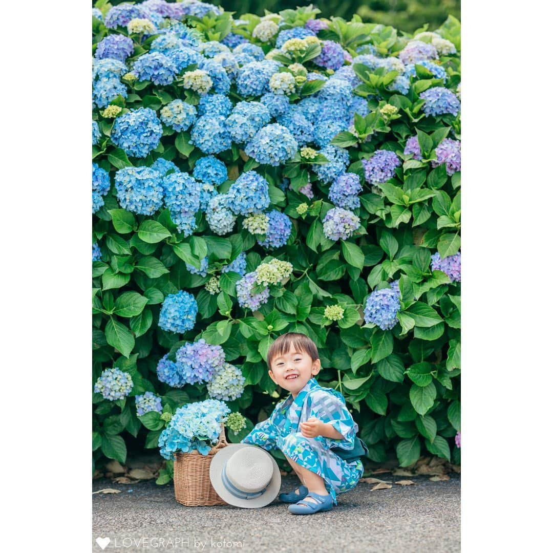 Lovegraph_Kids ラブグラフキッズさんのインスタグラム写真 - (Lovegraph_Kids ラブグラフキッズInstagram)「6月&7月生まれさんの バースデーフォトとしても おすすめの紫陽花撮影🪻🩵 ㅤㅤㅤ 傘を小物にしてみたり、浴衣を着てもかわいくておすすめです♡☺️  ୨୧┈┈┈┈୨୧ ㅤㅤㅤ Lovegraphは出張撮影サービスです📸お誕生日や七五三、日常フォトなどさまざまなシーンをプロのカメラマンが撮影いたします☺️ ㅤㅤㅤ 撮影プランや料金詳細は @lovegraph_kids のプロフィールURLをご確認ください🌼 ㅤㅤㅤ ୨୧┈┈┈┈୨୧ ㅤㅤㅤ #ラブグラフ #Lovegraph #幸せな瞬間をもっと世界に #出張カメラマン  #子どものいる暮らし #ロケーションフォト #公園遊び #バースデーフォト #紫陽花 #紫陽花の季節」5月30日 21時30分 - lovegraph_kids