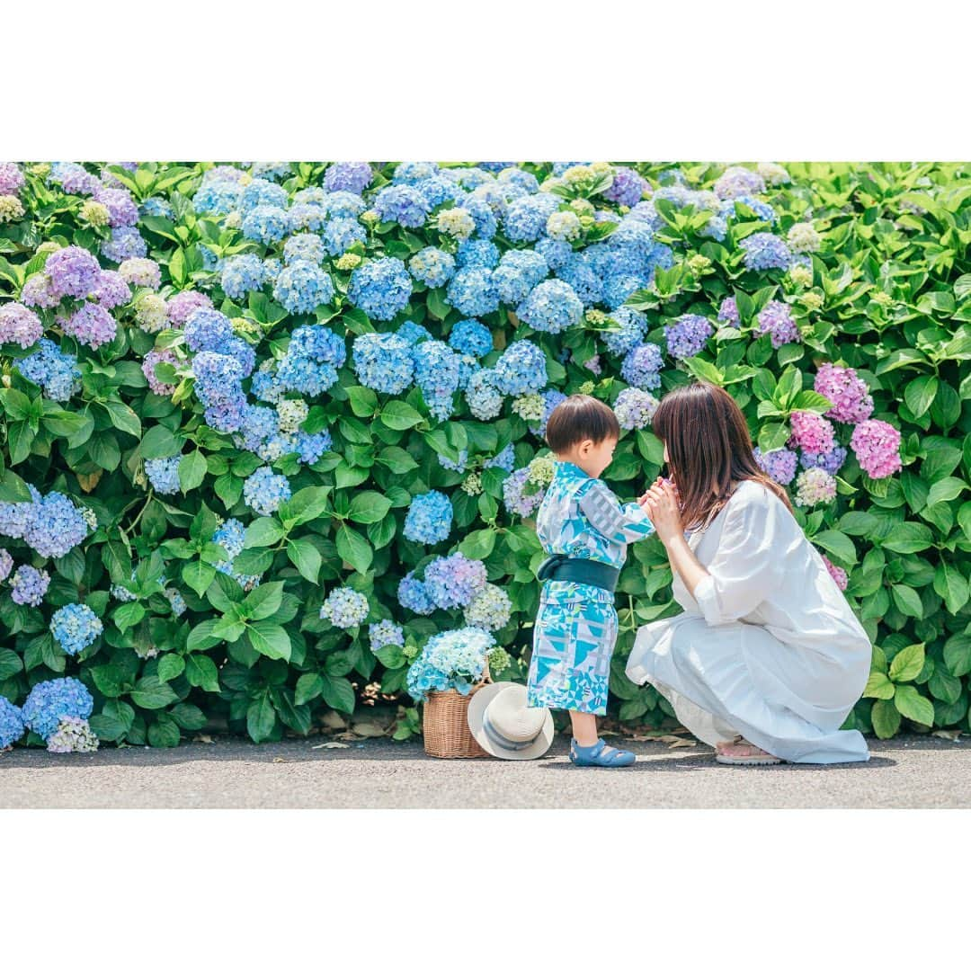 Lovegraph_Kids ラブグラフキッズさんのインスタグラム写真 - (Lovegraph_Kids ラブグラフキッズInstagram)「6月&7月生まれさんの バースデーフォトとしても おすすめの紫陽花撮影🪻🩵 ㅤㅤㅤ 傘を小物にしてみたり、浴衣を着てもかわいくておすすめです♡☺️  ୨୧┈┈┈┈୨୧ ㅤㅤㅤ Lovegraphは出張撮影サービスです📸お誕生日や七五三、日常フォトなどさまざまなシーンをプロのカメラマンが撮影いたします☺️ ㅤㅤㅤ 撮影プランや料金詳細は @lovegraph_kids のプロフィールURLをご確認ください🌼 ㅤㅤㅤ ୨୧┈┈┈┈୨୧ ㅤㅤㅤ #ラブグラフ #Lovegraph #幸せな瞬間をもっと世界に #出張カメラマン  #子どものいる暮らし #ロケーションフォト #公園遊び #バースデーフォト #紫陽花 #紫陽花の季節」5月30日 21時30分 - lovegraph_kids