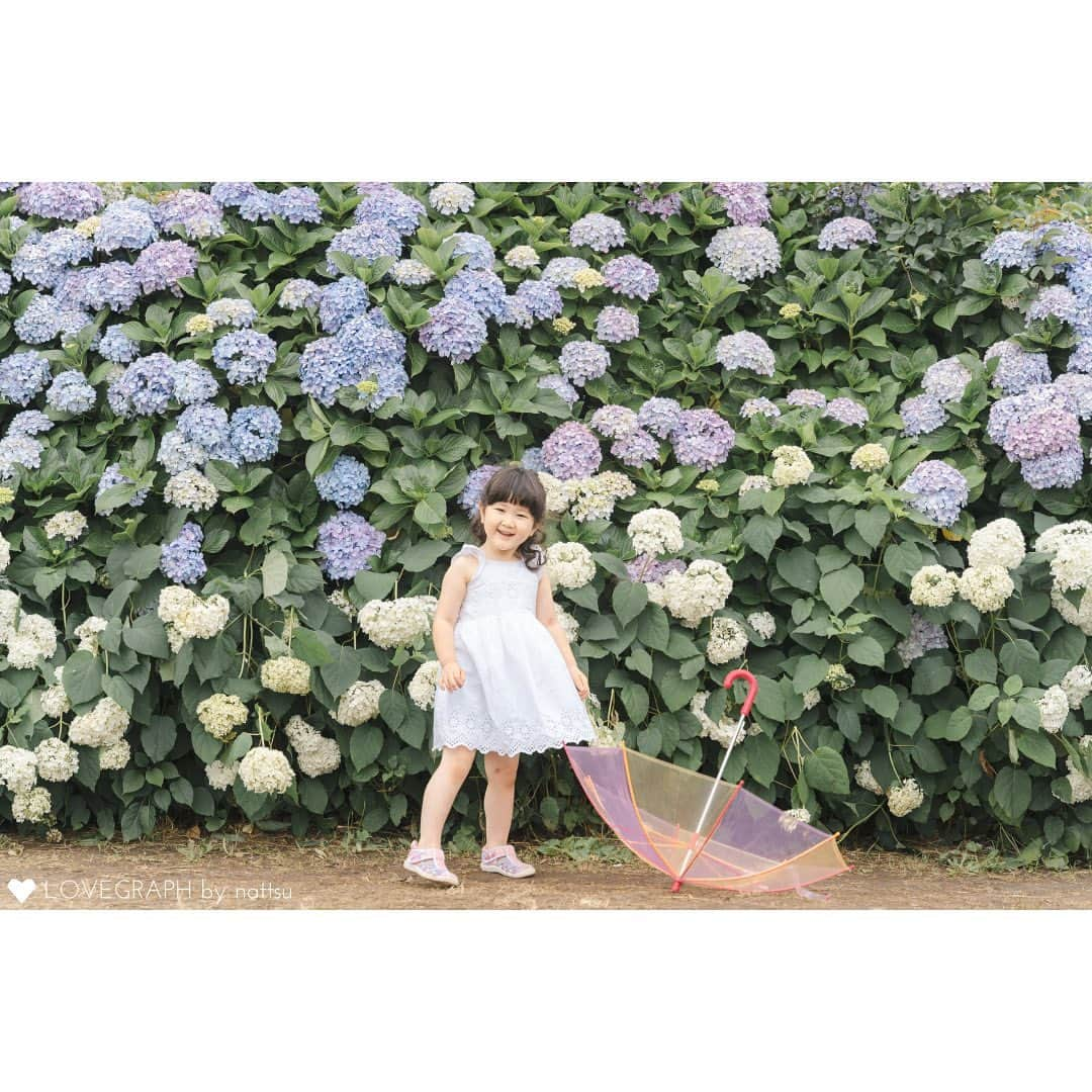 Lovegraph_Kids ラブグラフキッズさんのインスタグラム写真 - (Lovegraph_Kids ラブグラフキッズInstagram)「6月&7月生まれさんの バースデーフォトとしても おすすめの紫陽花撮影🪻🩵 ㅤㅤㅤ 傘を小物にしてみたり、浴衣を着てもかわいくておすすめです♡☺️  ୨୧┈┈┈┈୨୧ ㅤㅤㅤ Lovegraphは出張撮影サービスです📸お誕生日や七五三、日常フォトなどさまざまなシーンをプロのカメラマンが撮影いたします☺️ ㅤㅤㅤ 撮影プランや料金詳細は @lovegraph_kids のプロフィールURLをご確認ください🌼 ㅤㅤㅤ ୨୧┈┈┈┈୨୧ ㅤㅤㅤ #ラブグラフ #Lovegraph #幸せな瞬間をもっと世界に #出張カメラマン  #子どものいる暮らし #ロケーションフォト #公園遊び #バースデーフォト #紫陽花 #紫陽花の季節」5月30日 21時30分 - lovegraph_kids