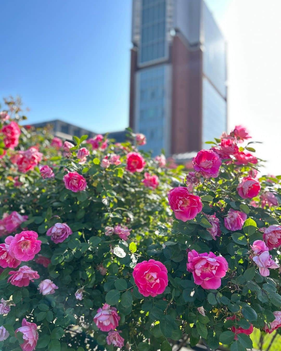 神戸学院大学のインスタグラム