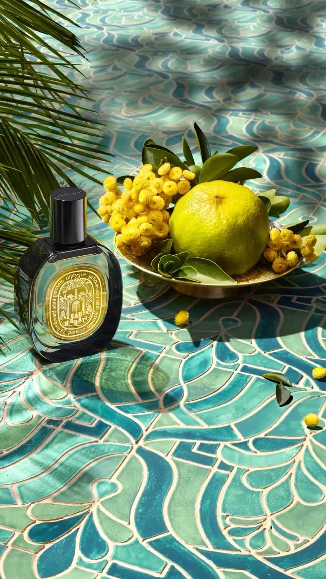 ディプティックのインスタグラム：「Cold and hot… …meet amid the dunes. Eau Nabati evokes the coolness of a paradise garden swept by the hot desert wind, the lively citrus notes at the heart of the new eau de parfum surrounded by enveloping amber accords. Harmony springs forth.   #diptyque #diptyqueparis #eaunabati」