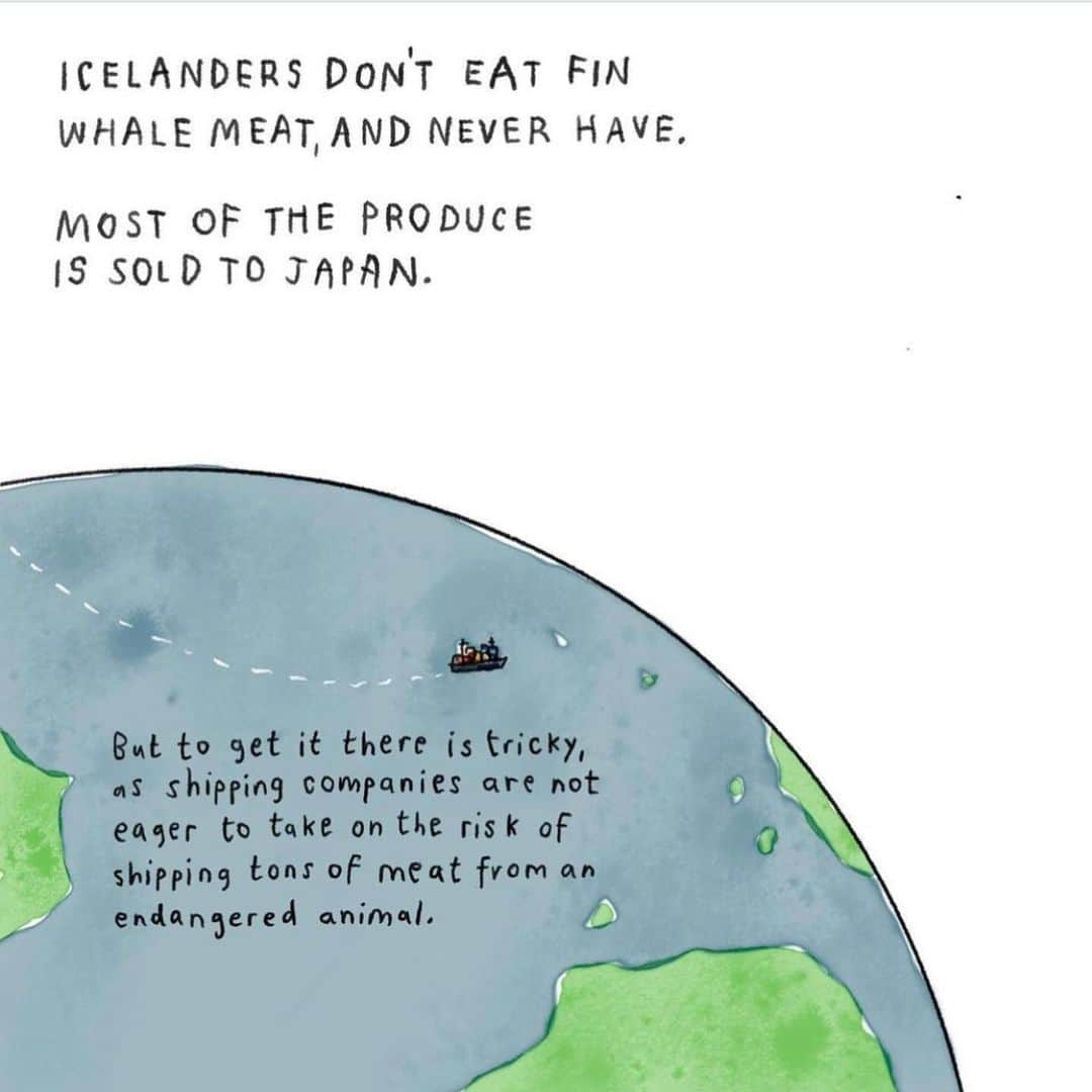 ジェイソン・モモアさんのインスタグラム写真 - (ジェイソン・モモアInstagram)「Please read (3 of 3) • To support the people in Iceland please sign the petition against whaling in the link in profile of @last_whaling_station • Thank you 💙  Repost from @last_whaling_station :  A visual guide to the rather incomprehensible situation of whaling in Iceland by @ranflygenring (3 of 3)  This should end today.  Katrín Jakobsdóttir Prime Minister pmo@pmo.is Svandís Svavarsdóttir Minister of Food, Agriculture and Fisheries in Iceland svandiss@althingi.is  #finwhale #whale #valueofwhales #savethewhales #stopwhaling #biodiversity #whalelover #whales #whalingisecocide」5月26日 14時23分 - prideofgypsies