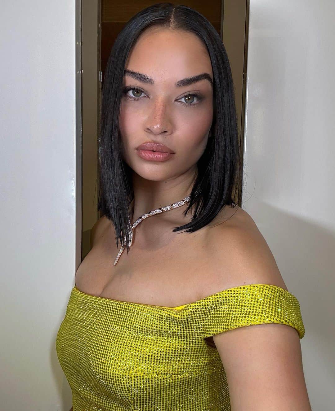 シャニーナ・シャイクのインスタグラム：「cannes glam @makeupbykellymcclain」