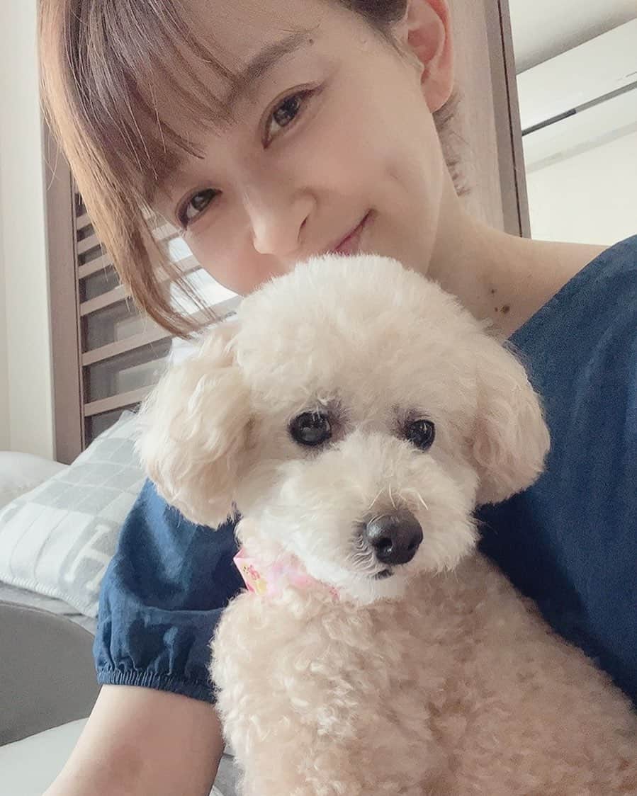 のインスタグラム：「🐶🧡👩‍🦰 皆さま、たくさんのメッセージ、コメントありがとうございます☺️🍀  感謝🧡🧡」