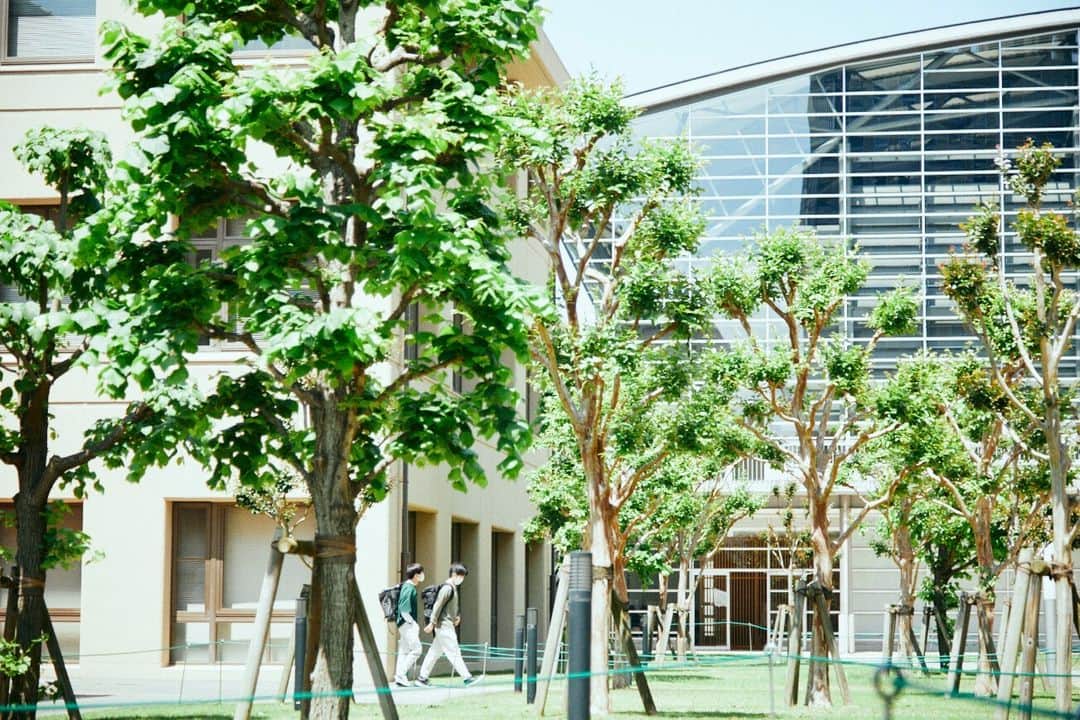 Meiji Gakuin/明治学院大学/明学さんのインスタグラム写真 - (Meiji Gakuin/明治学院大学/明学Instagram)「この時期ならではの、 緑がいっぱいの白金キャンパスです☘️  リラックスしたいときや、 少し息が詰まってしまうとき、 キャンパスの緑を眺めてみてください😉  今日もお疲れ様でした。  #明治学院大学 #白金キャンパス #白金 #春学期 #春学期もがんばろう #緑 #初夏 #明学 #明治学院 #明学人 #勉強 #大学 #授業 #明学生 #メイガク #明学ライフ #大学生活 #mgu #meijigakuinuniversity #meijigakuin #meigaku #photography #photographer」5月26日 14時55分 - mguniv