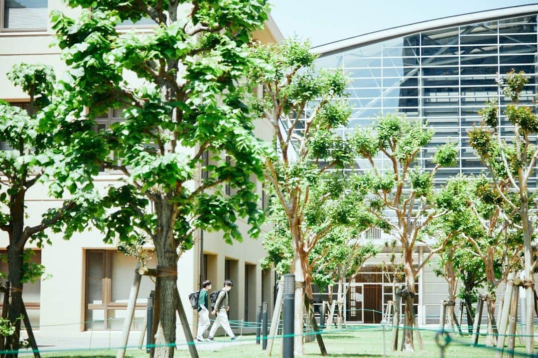 Meiji Gakuin/明治学院大学/明学のインスタグラム：「この時期ならではの、 緑がいっぱいの白金キャンパスです☘️  リラックスしたいときや、 少し息が詰まってしまうとき、 キャンパスの緑を眺めてみてください😉  今日もお疲れ様でした。  #明治学院大学 #白金キャンパス #白金 #春学期 #春学期もがんばろう #緑 #初夏 #明学 #明治学院 #明学人 #勉強 #大学 #授業 #明学生 #メイガク #明学ライフ #大学生活 #mgu #meijigakuinuniversity #meijigakuin #meigaku #photography #photographer」