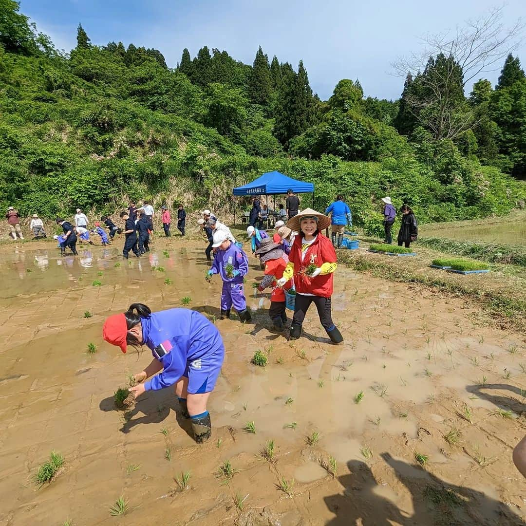 小林幸子さんのインスタグラム写真 - (小林幸子Instagram)「昨日は毎年恒例の山古志地区「小林幸子田」での田植えでした‼️  とってもいいお天気で、最高の田植え日和でした☀  今年も山古志小学校の全校生徒が参加してくれましたが、なんと今年は10人になってしまいました😥 1年生2年生がいないそうです。 ちょっとさみしいです。。。  でもみんな元気に天神囃子を歌ってくれて、田植えスタート‼️  天神囃子が去年よりとっても上手になっていて、びっくりしました🎵  子供たちの成長も楽しみのひとつです❤  #sachikokobayashi  #小林幸子  #小林幸子田  #田植え  #山古志小学校全生徒  #子供の成長も楽しみ  #天神囃子」5月26日 15時13分 - kobayashi_sachiko_5884