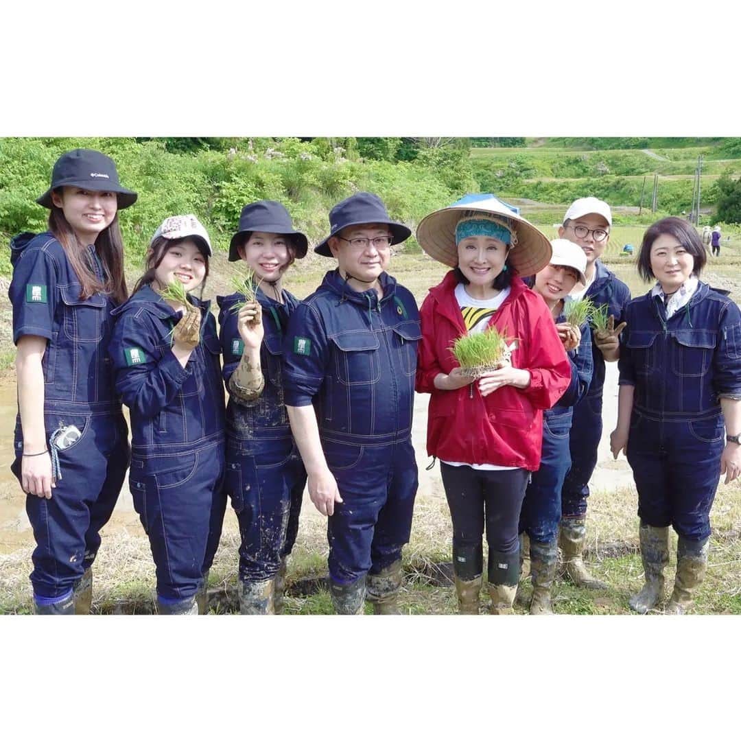 小林幸子さんのインスタグラム写真 - (小林幸子Instagram)「そして今年は、以前から交流のあった東京農大の江口学長や学生たちなど8人も参加してくれました🌾  学長を先頭にみんなも泥だらけになりながら、楽しんで手伝ってくれました✨ こうやって若い人達が参加してくれることは、とっても嬉しいです😄  日本の未来の農業のために、少しでも発信し、力になれたら嬉しいな❤  江口学長はじめ東京農大の皆さん、ありがとうございました✨  秋もお待ちしております😊  #sachikokobayashi  #小林幸子  #小林幸子田  #田植え  #山古志  #東京農業大学  #江口学長  #ありがとうございました  #お米大使もやってるよ」5月26日 15時22分 - kobayashi_sachiko_5884