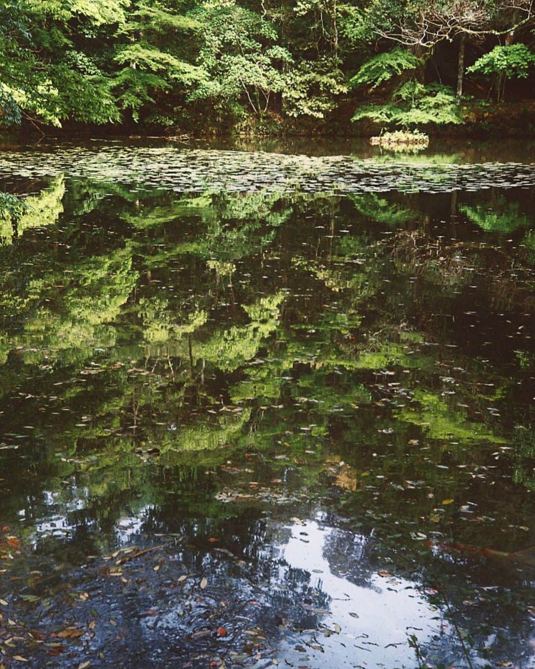 田中裕介のインスタグラム：「いつかの水鏡。」