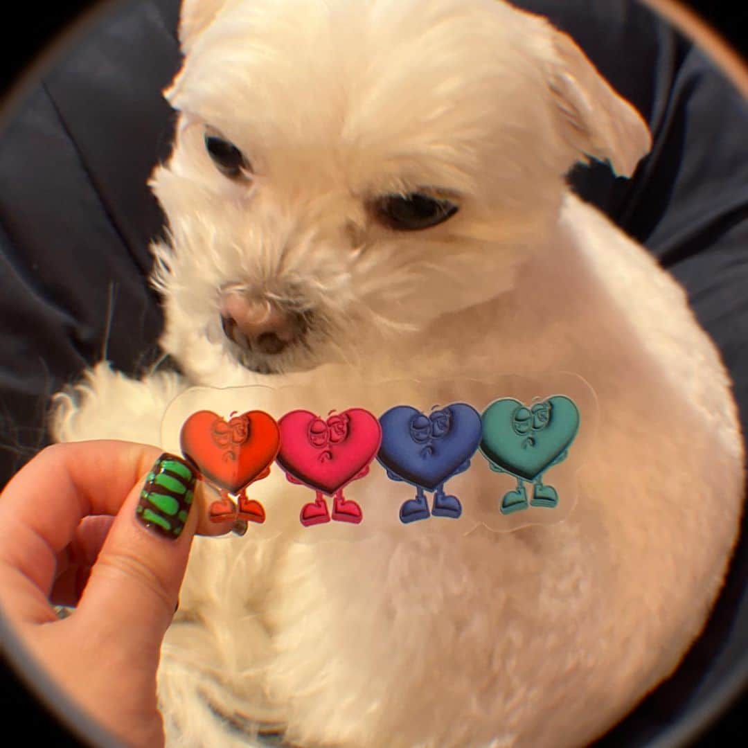 Pirakoのインスタグラム：「Stickerapp コラボ💌  実はこの3Dハートちゃんステッカー @stickerapp @stickerapp_jp 様にお声がけ頂き 制作していただきました❕❤️  キラキラクリアなんでもできちゃう ステッカー屋さん👽  自分のオリジナルステッカー作ってみたいなぁという方❕ 以下のリンク先にてクーポンコードをご利用頂くと 20%offになるそうです🫣  🟢リンク https://stickerapp.jp/  🟠クーポンコード 【PIRA20】2023/5/29まで有効 是非この機会にご利用下さいませ😘  ※ピラコイラストの二次使用は禁止とさせていただいております。 予めご了承ください💦   #stickerapp #stickerappjp #ステッカー  #オリジナルステッカー #stickerappコラボ」