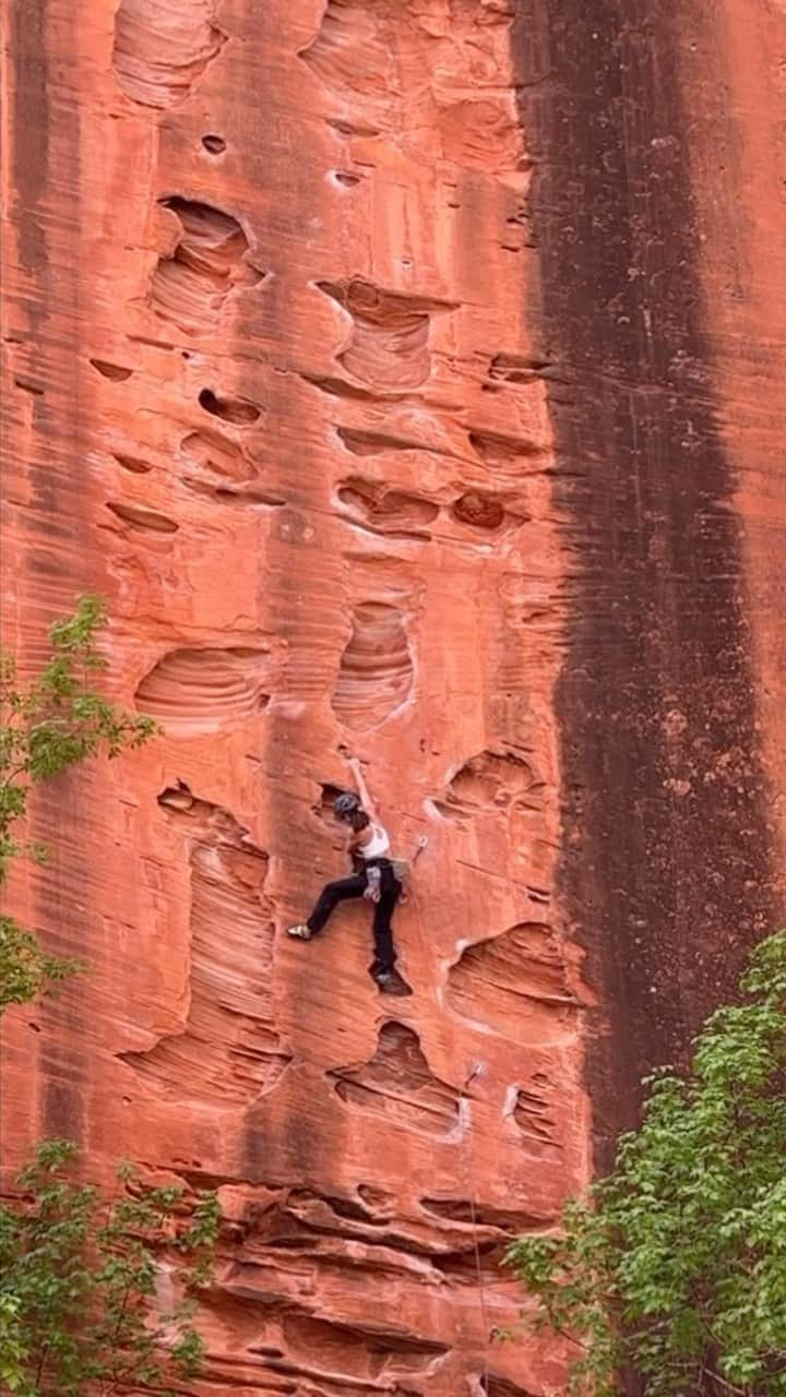 松島エミのインスタグラム：「Had a lot of fun on this wall :)  . . #climbing#sportclimbing#climbinggirls#girlswhoclimb#utahclimbing#zion#zionnationalpark#zionclimbing#optoutside#outdoorsy#shesendscollective#クライミング#クライミング女子#ユタ州」