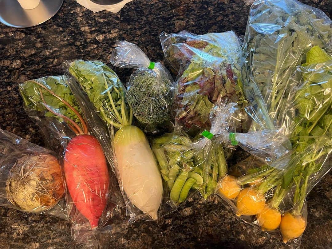 のインスタグラム：「@yamato_ya_831  お野菜届いたぁ☺️‼️‼️ スナップエンドウ🫛 黄金カブ🥗 食べるの楽しみっ😆  栄養あるものをしっかり食べて 体を元に戻しましょう🍀」