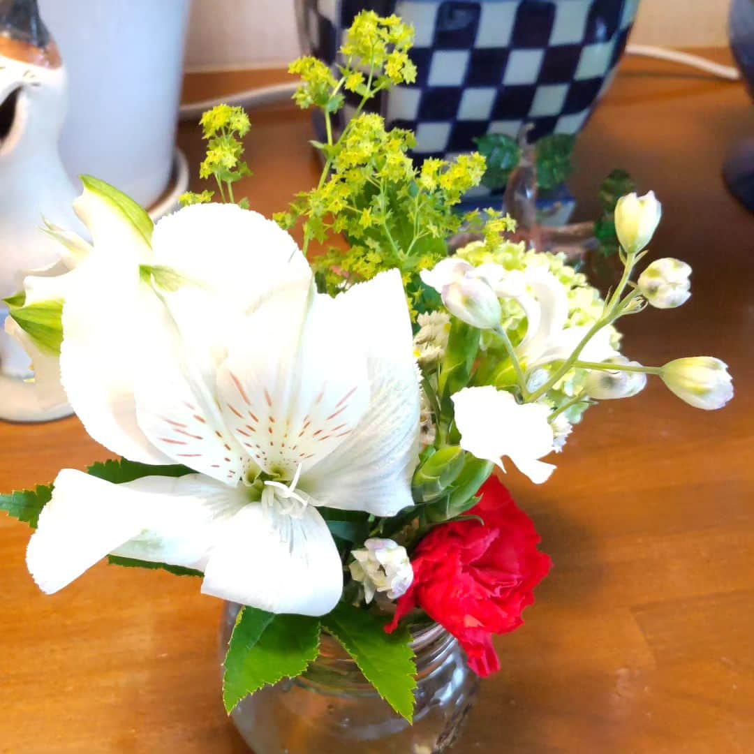 みながわゆみさんのインスタグラム写真 - (みながわゆみInstagram)「#はなまっぷ#花まっぷ#花の写真#魔法の花瓶#花好きな人と繋がりたい」5月26日 15時49分 - nama.09.19