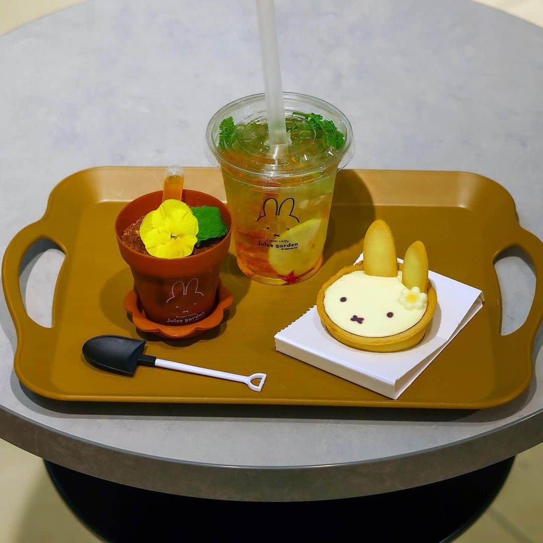 きょん。のインスタグラム