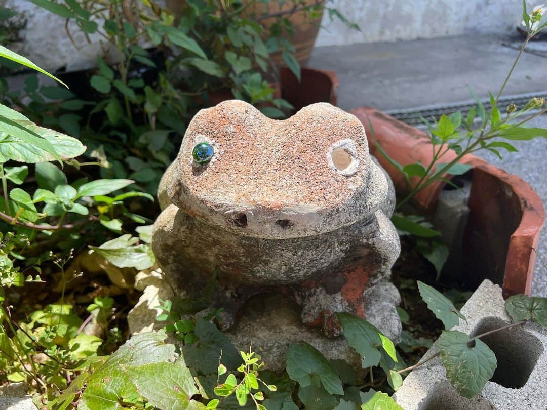 中山来未のインスタグラム：「このオフショットはどこでのでしょうか☺︎ また行きたい☺︎」