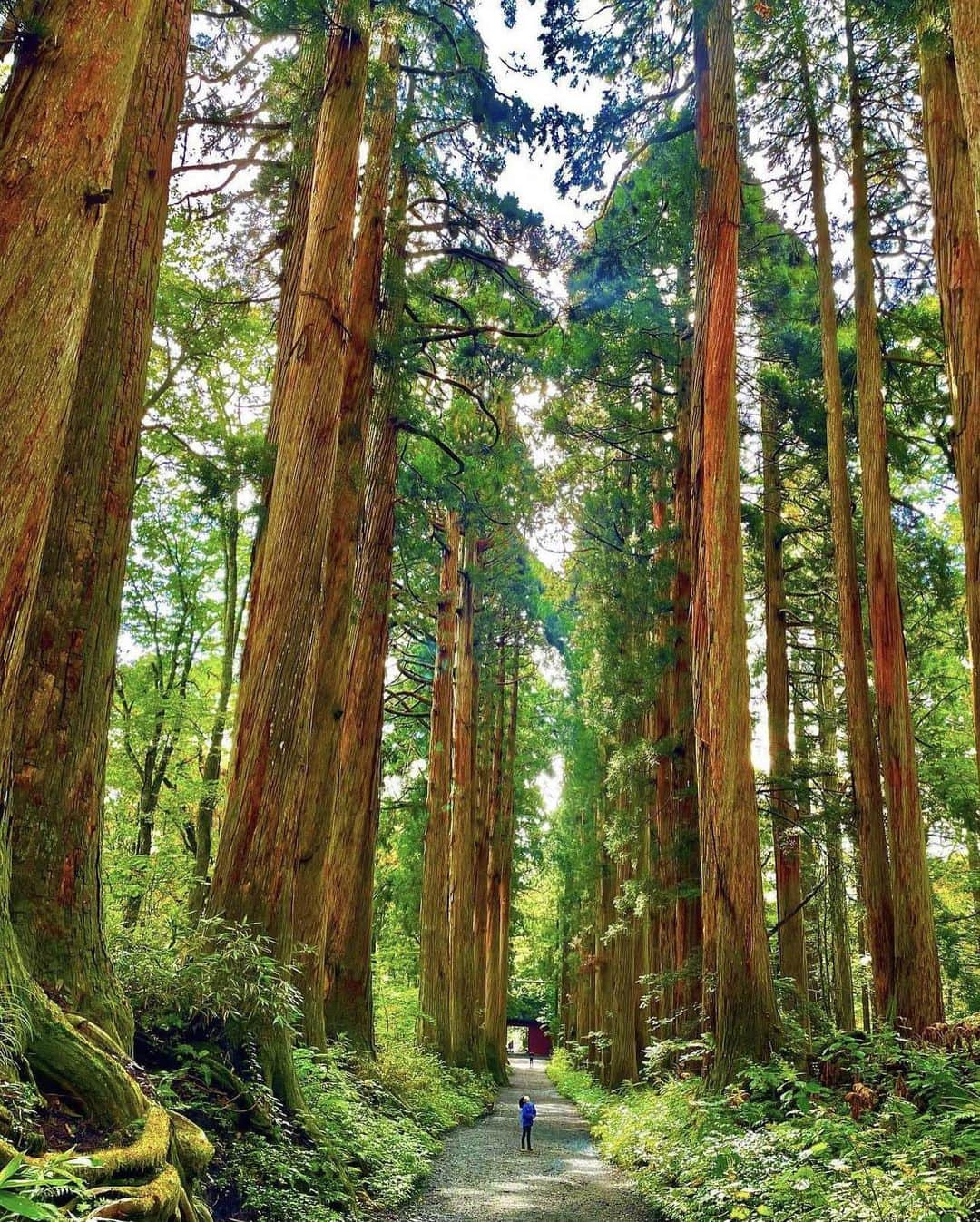 ?長野県 観光 公式インスタグラム のインスタグラム